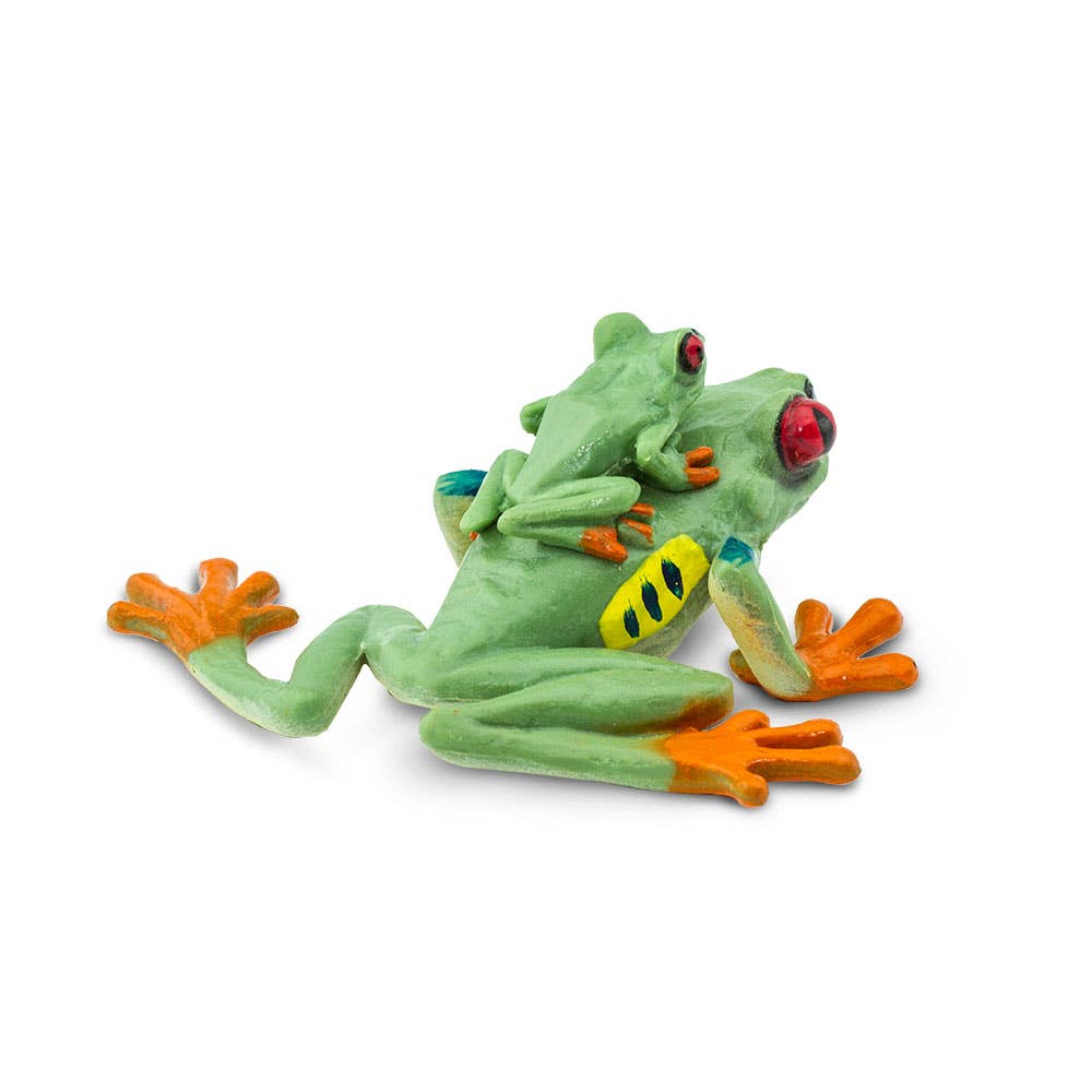 Safari Ltd. - Red - Eyed Tree Frog - 100120