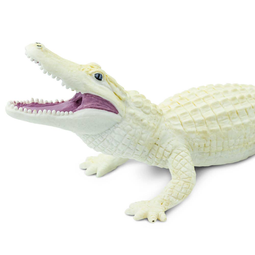 Safari Ltd. - White Alligator - 291929