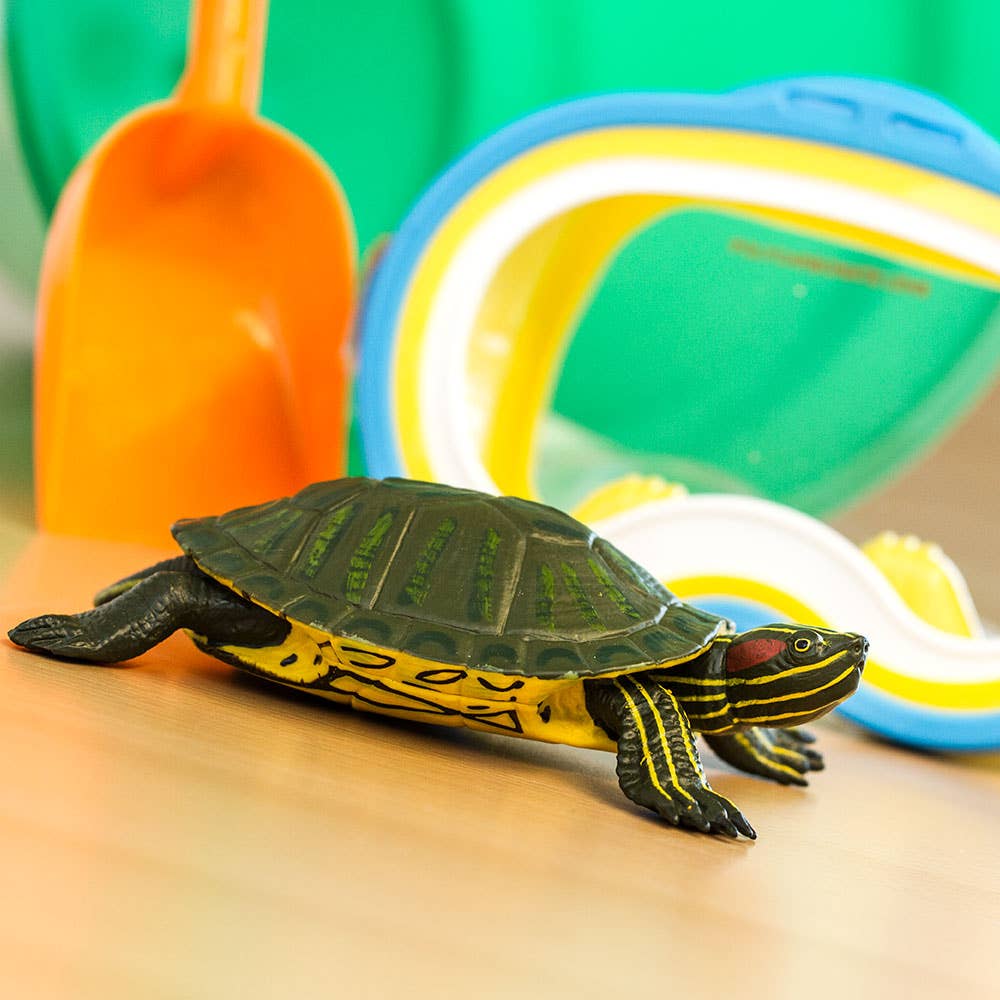 Safari Ltd. - Red - Eared Slider Turtle - 269529