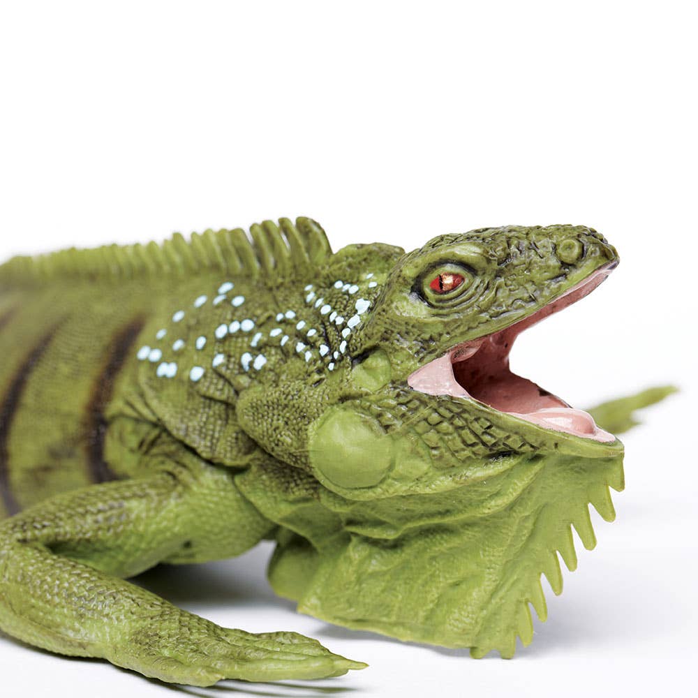 Safari Ltd. - Iguana - 267729
