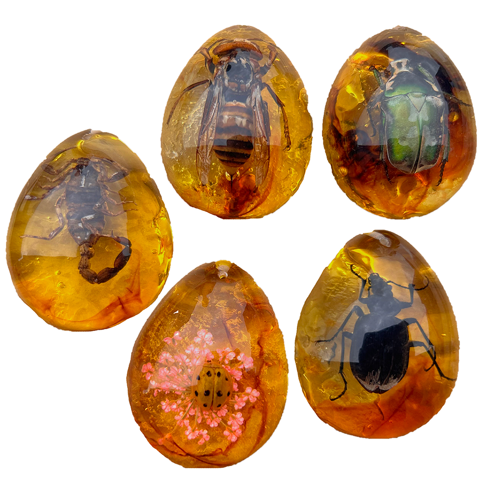 Texas Toy Distribution - Insects in Amber, Natural Bug Ornament Decoration, 5 Species