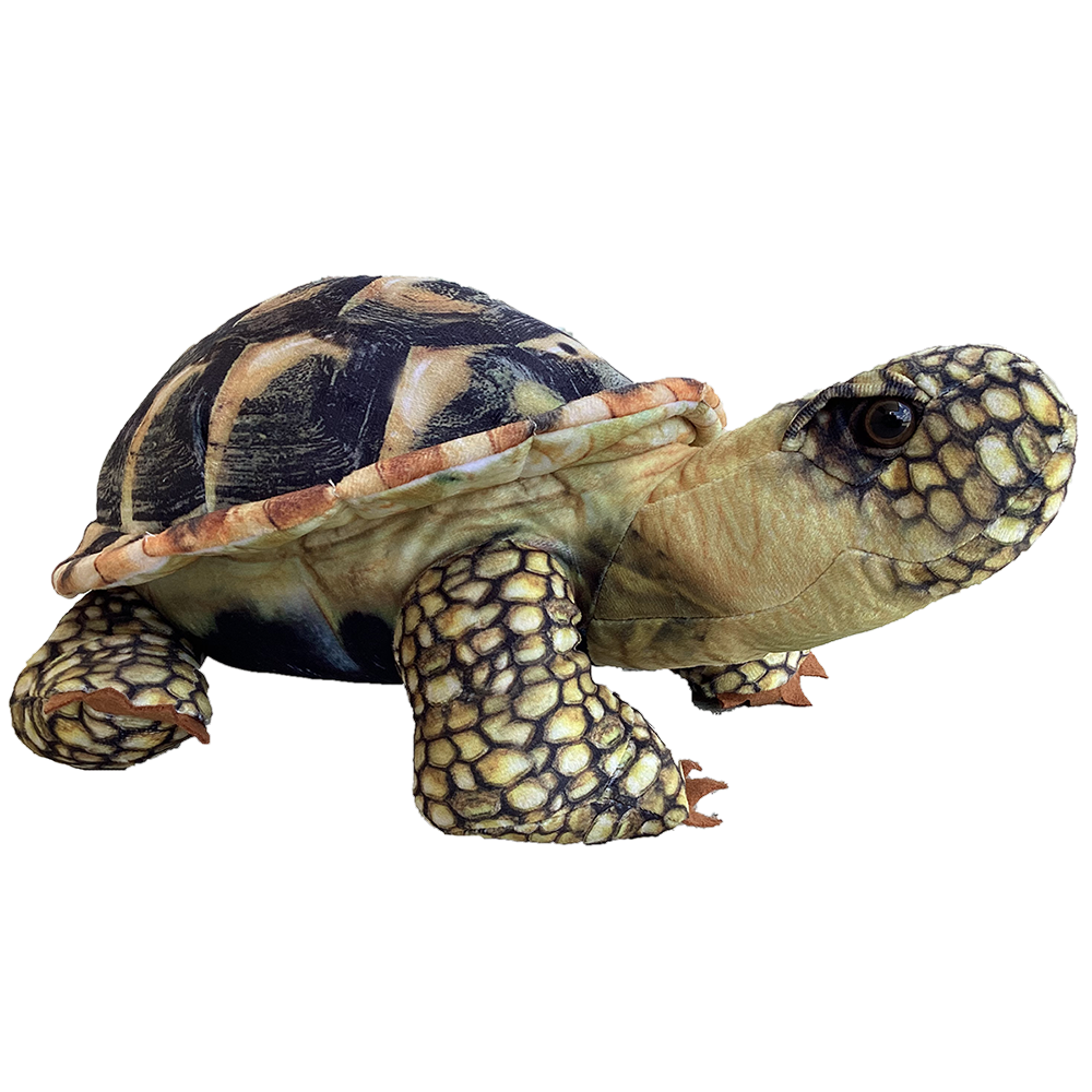 Texas Toy Distribution - Spurred Tortoise Plush 13" Stuffed Animal