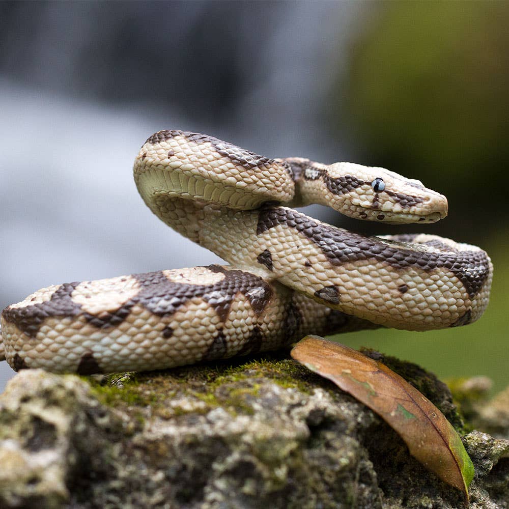 Safari Ltd. - Boa Constrictor Figurine Toy
