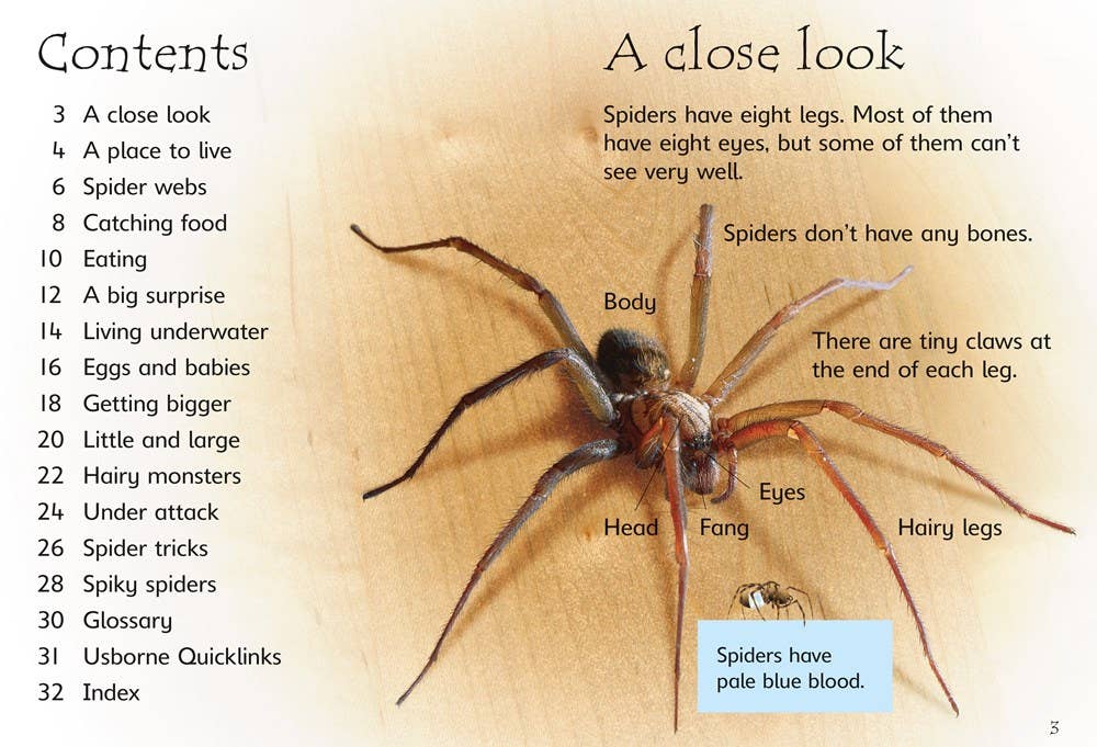 HarperCollins - Spiders : Usborne Beginners