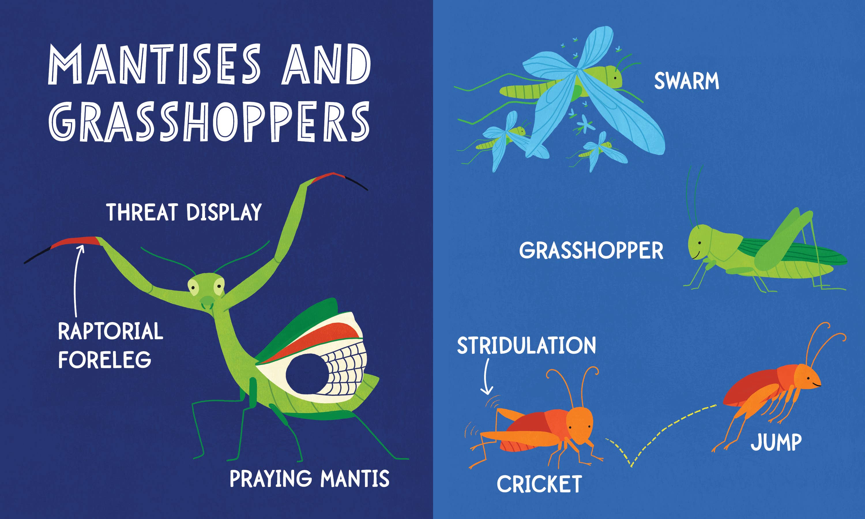 Sourcebooks - My First 100 Bug Words (BB-Padded)