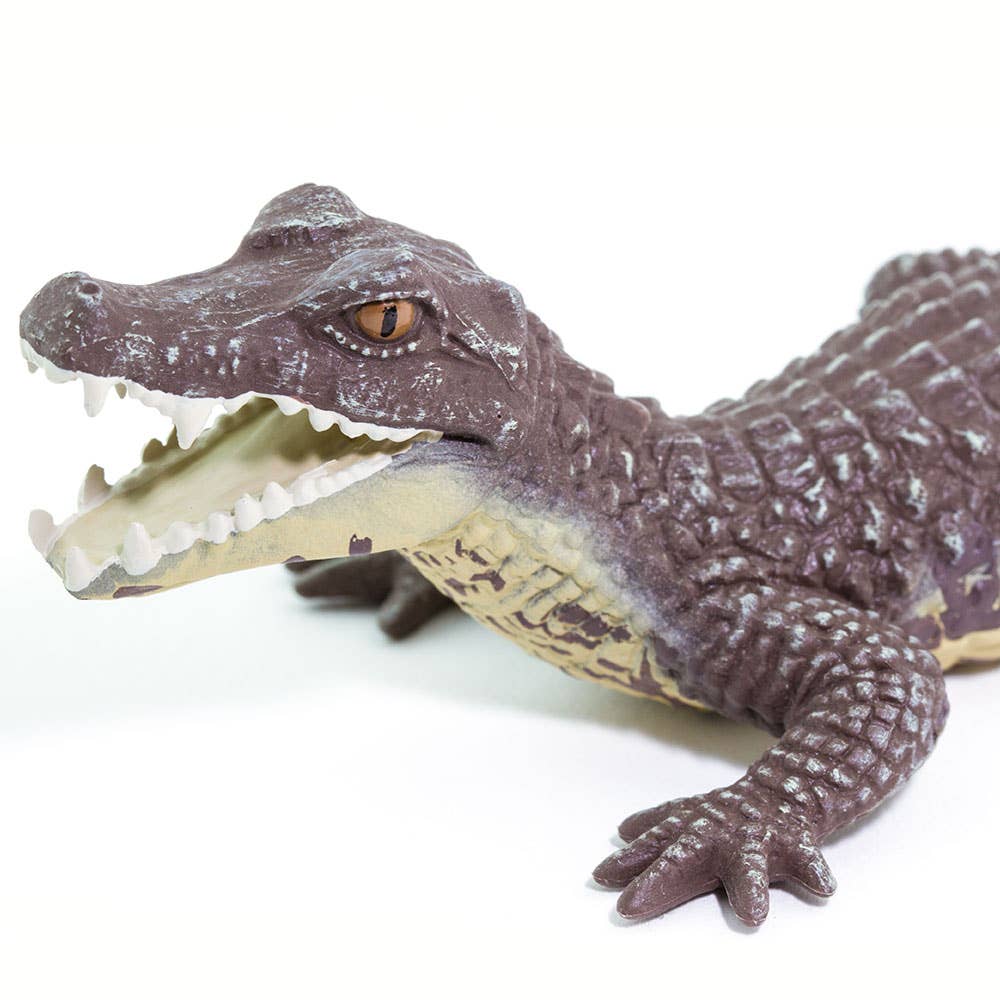 Caiman - 100238