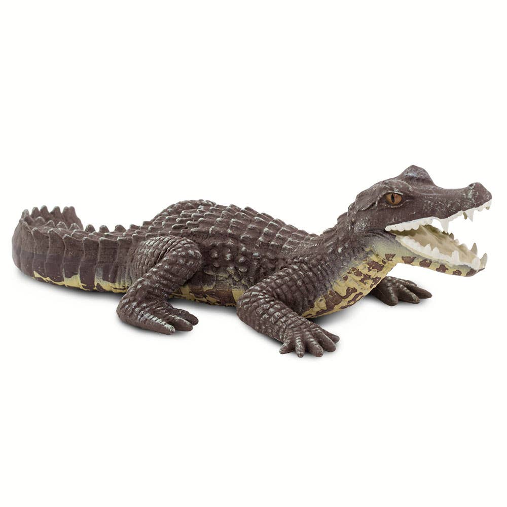 Caiman - 100238