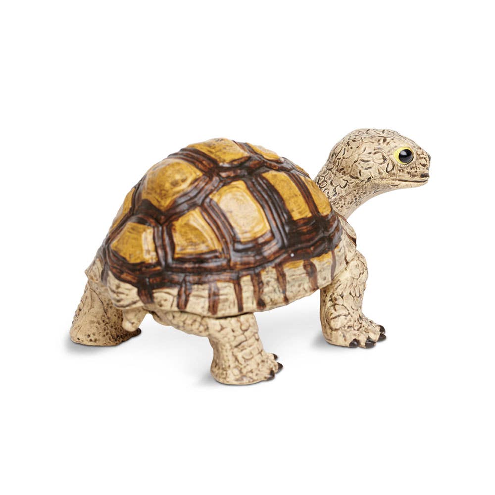 Safari Ltd. - Tortoise - 258629