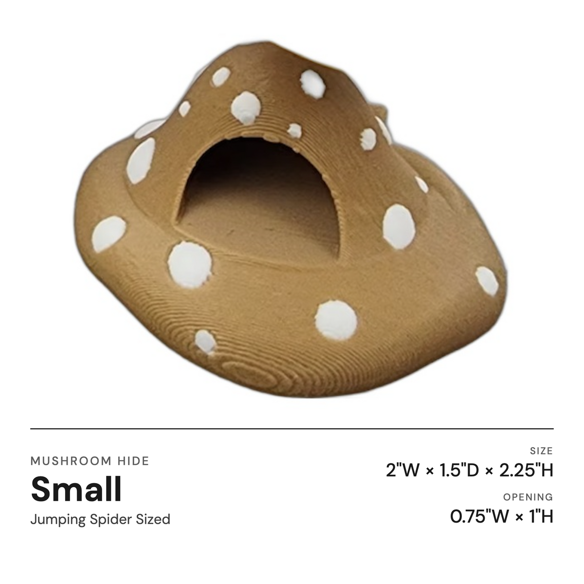 Mushroom Ledge For Jumping Spiders