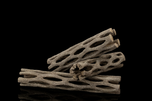 cholla wood