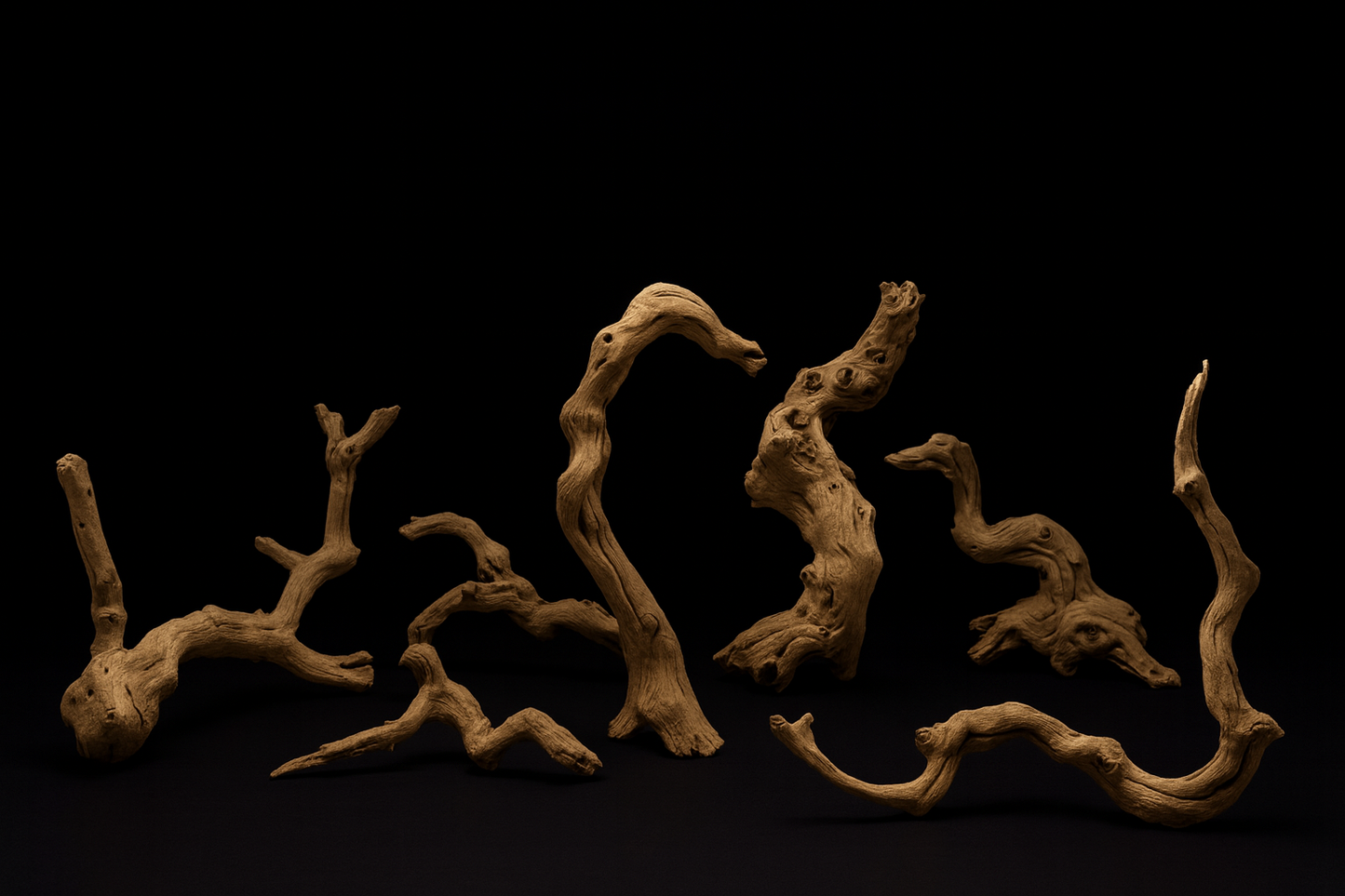 Grapevine wood