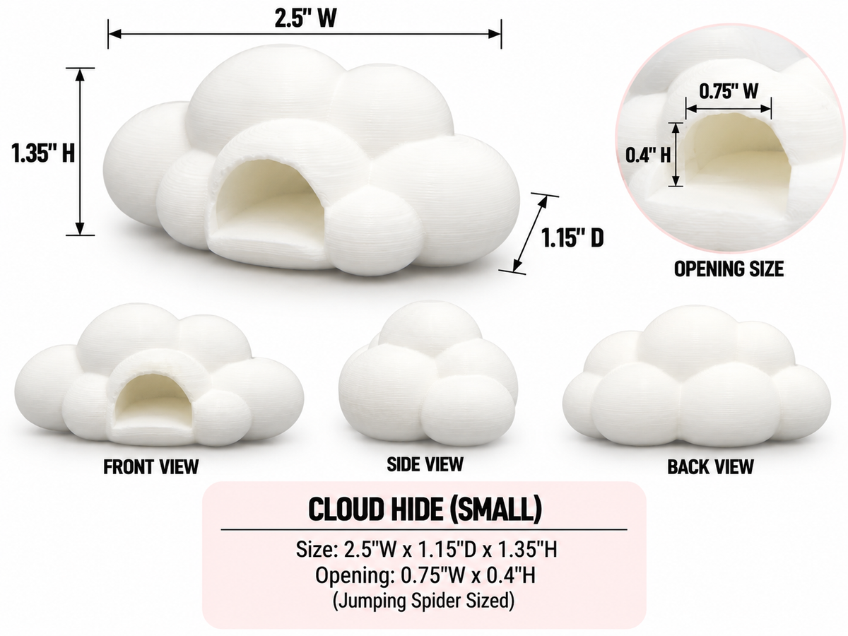 Cloud Hide For Jumping Spiders