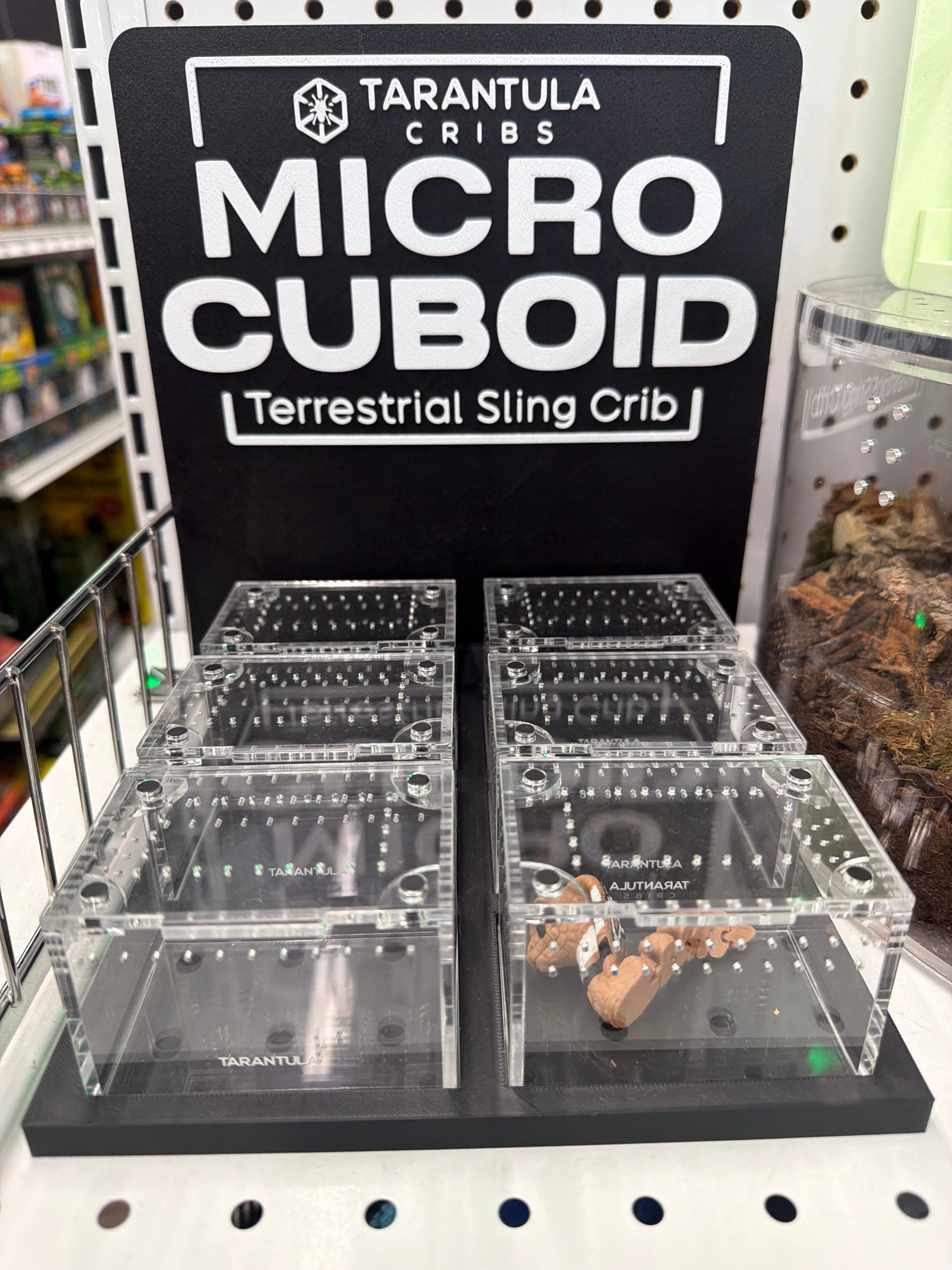Micro Cuboid  Display by Orbit Ranch without Enclosure (Copy)