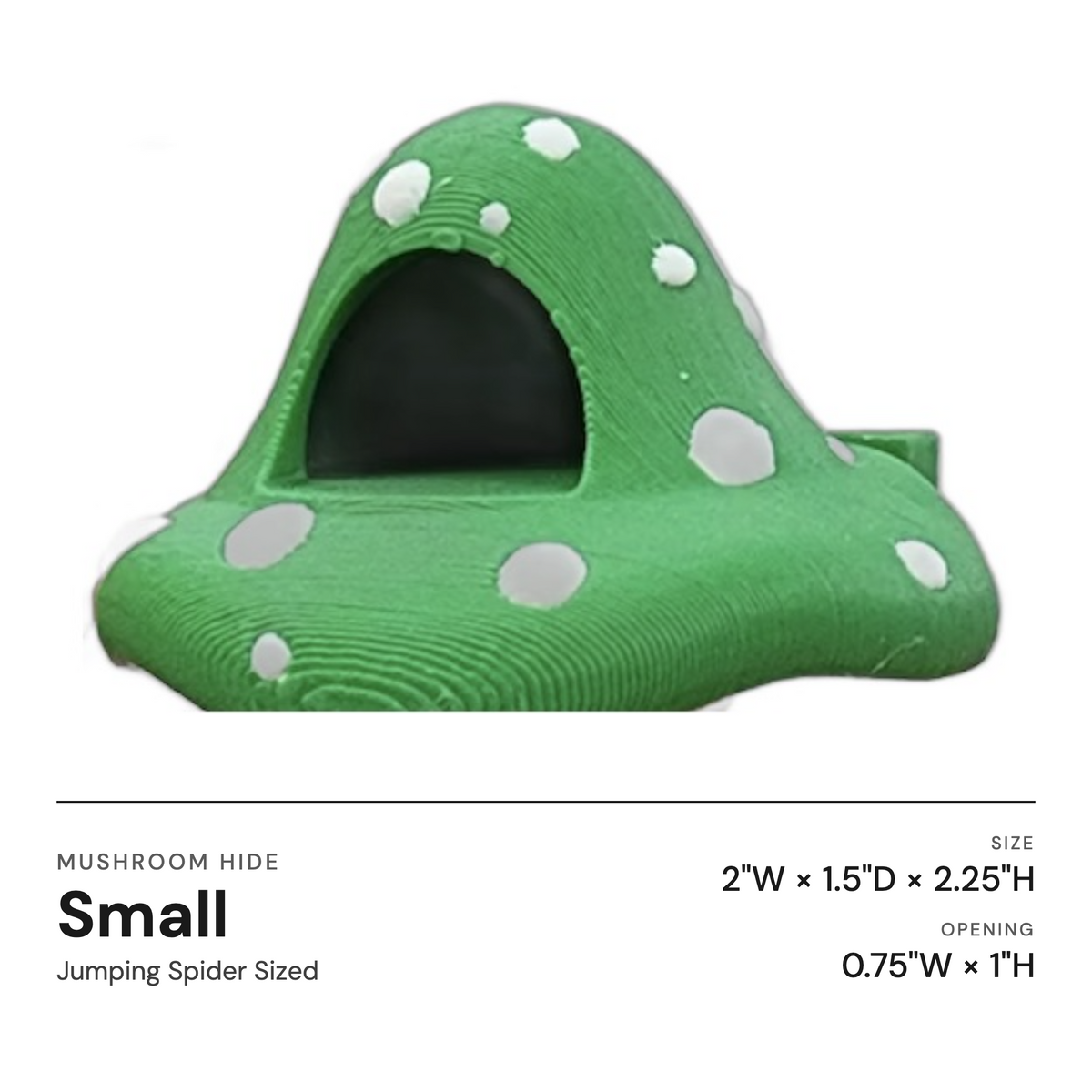 Mushroom Ledge For Jumping Spiders