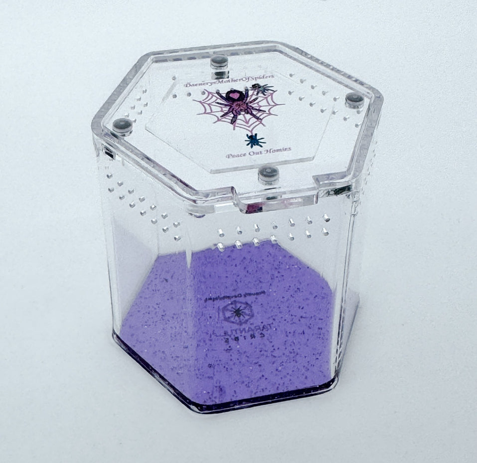 3” Hexagon Sling Enclosure – Glitter Purple Terrarium by Daenerys MotherofSpiders (Limited Edition)