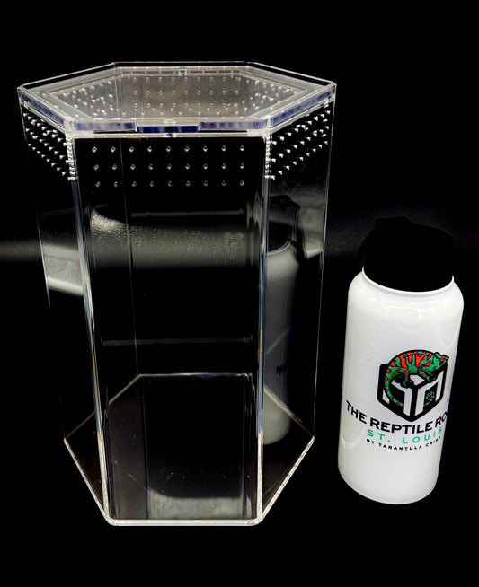 PRE ORDER (ETA: MID AUGUST) Fossorial Hexagon
