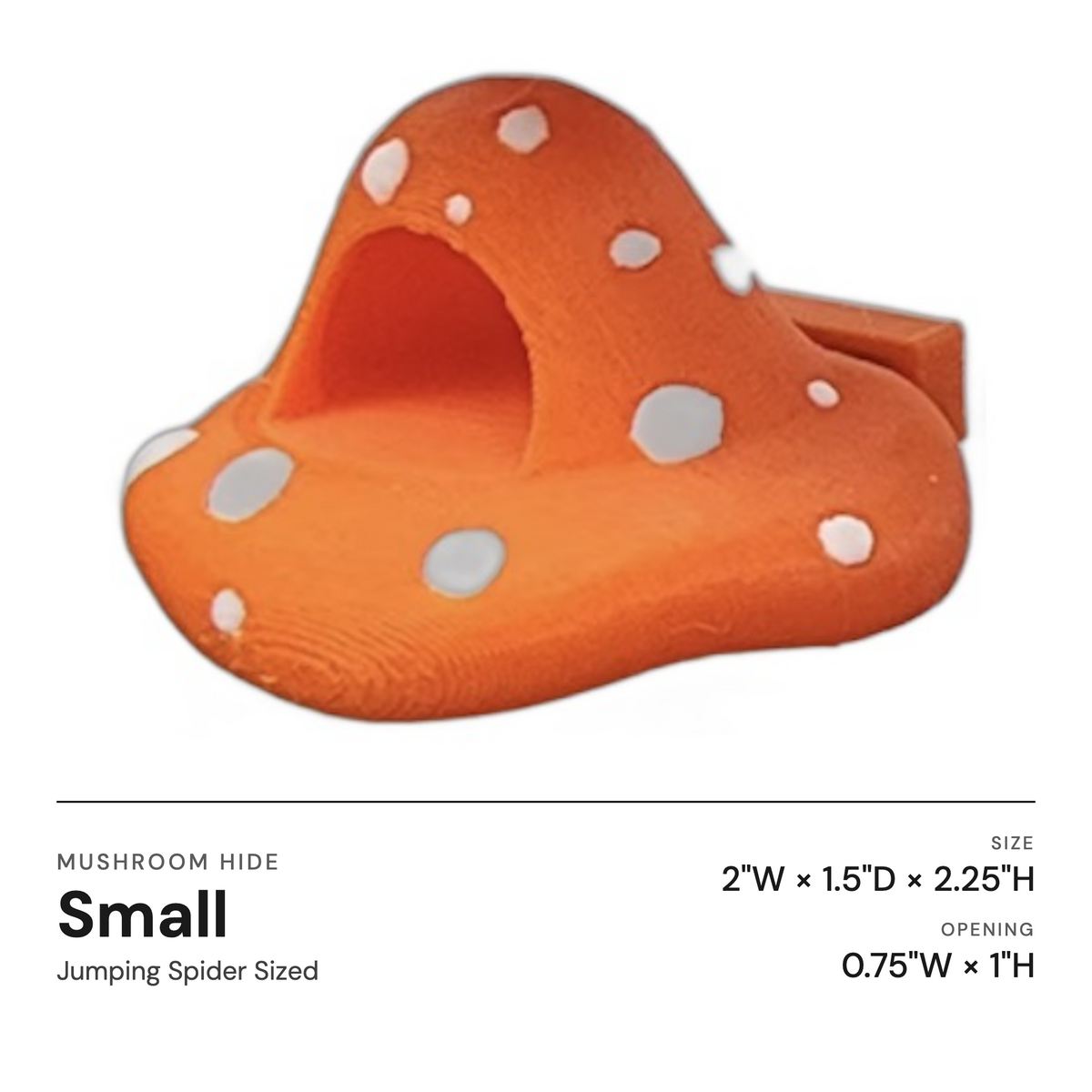 Mushroom Ledge For Jumping Spiders