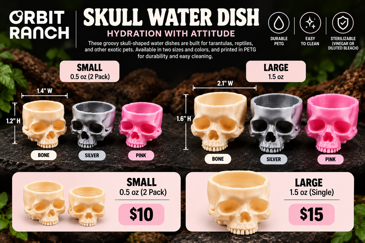 Skull Water Dish By Orbit Ranch