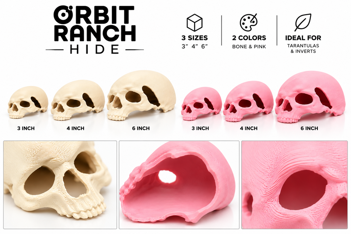 Skull Hide By Orbit Ranch