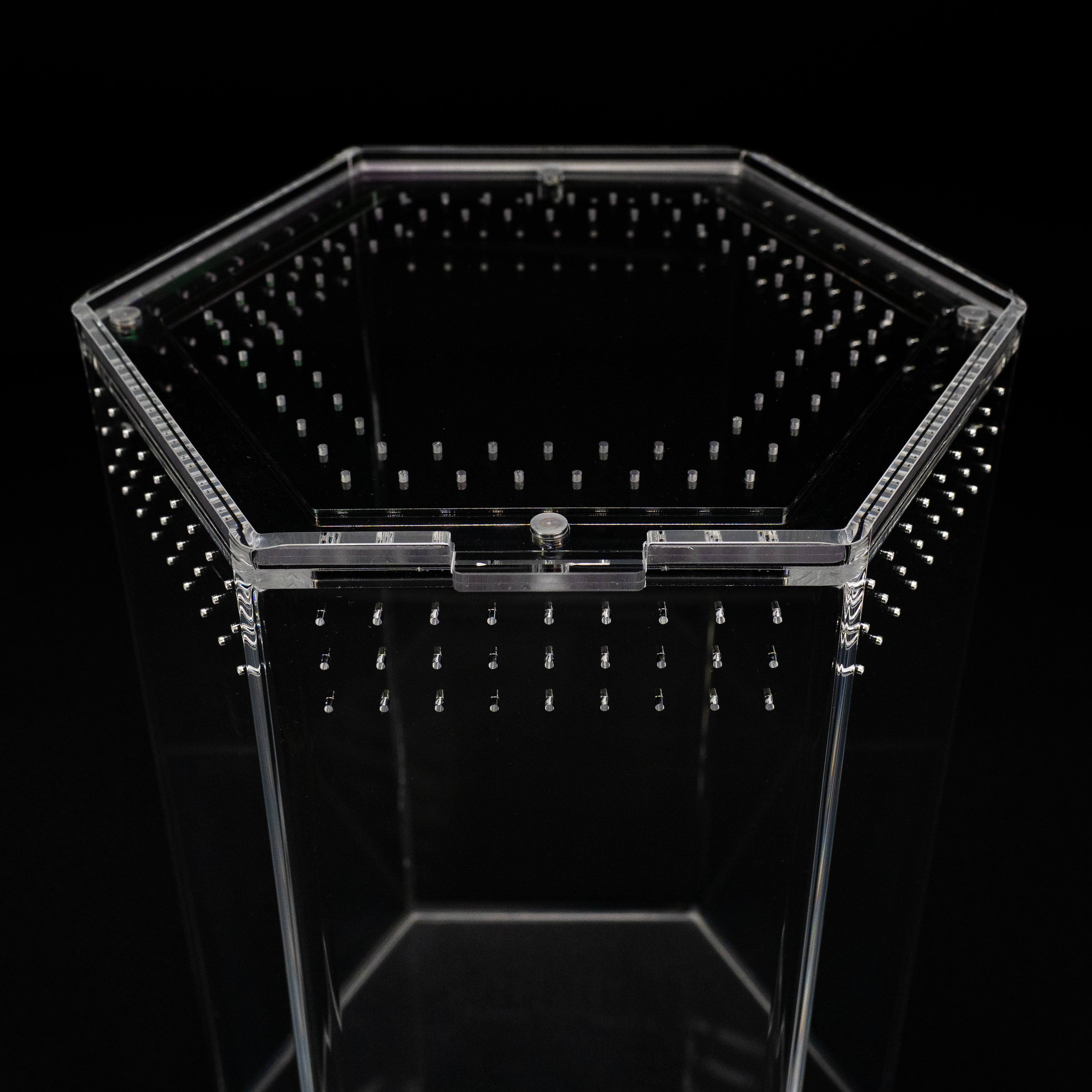 Fossorial Hexagon