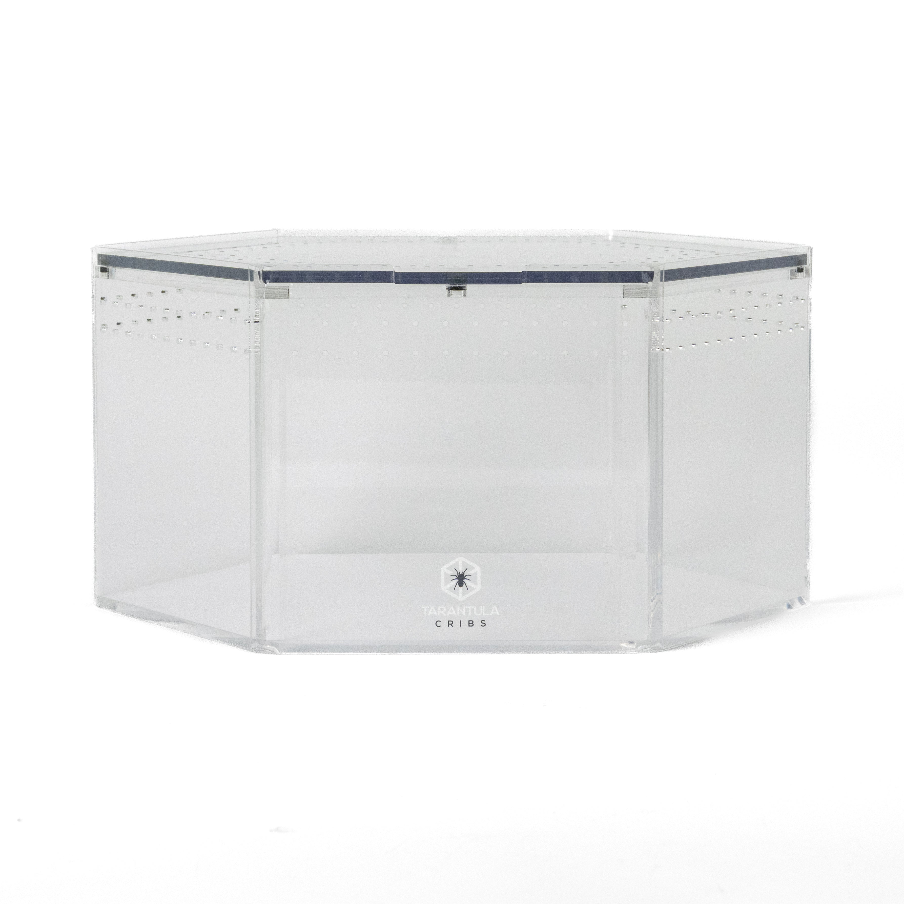 Terrestrial Hex™ Large – Hexagonal Tarantula Enclosure (12"x6")