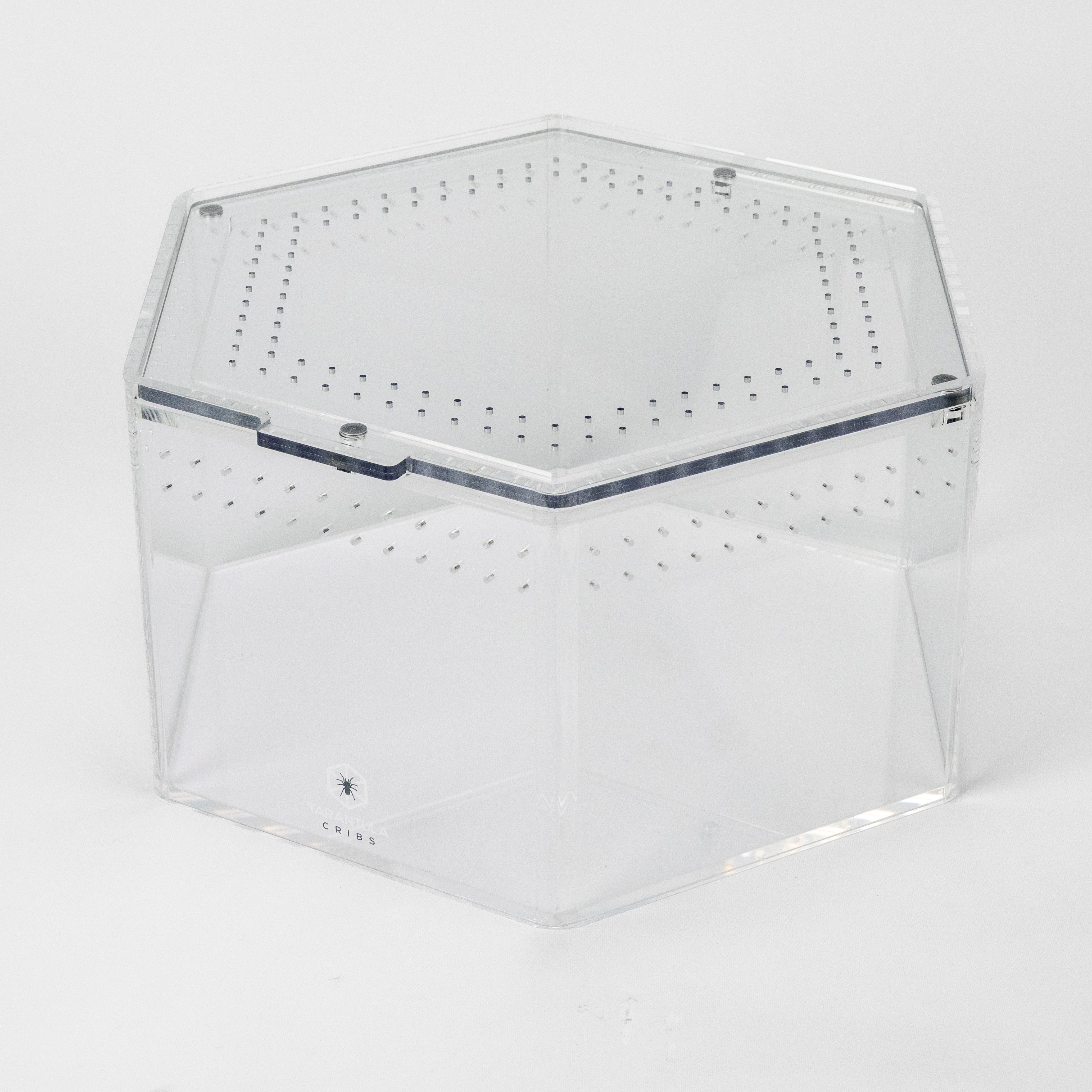 Terrestrial Hex™ Large – Hexagonal Tarantula Enclosure (12"x6")