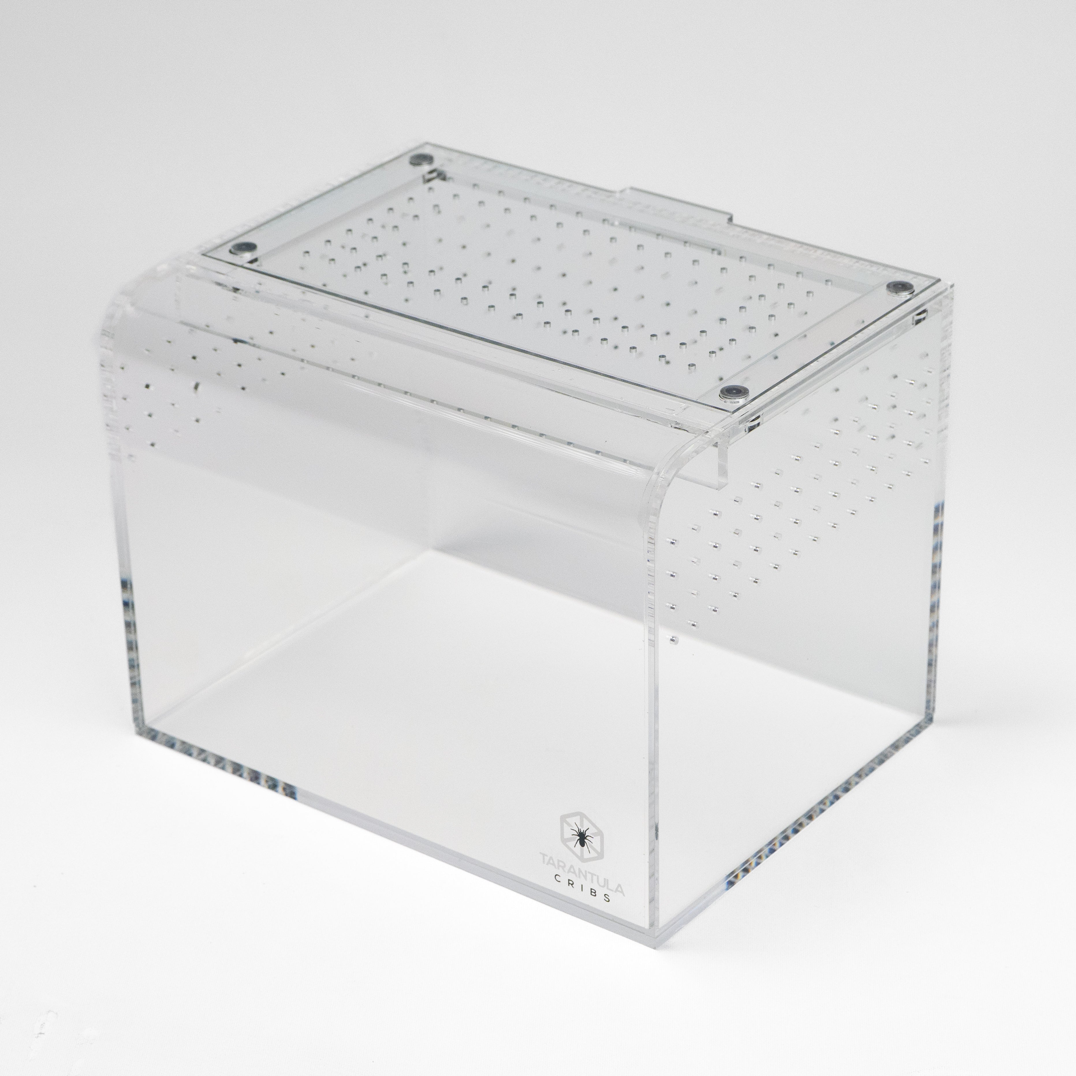 Terrestrial Curve – Medium Enclosure