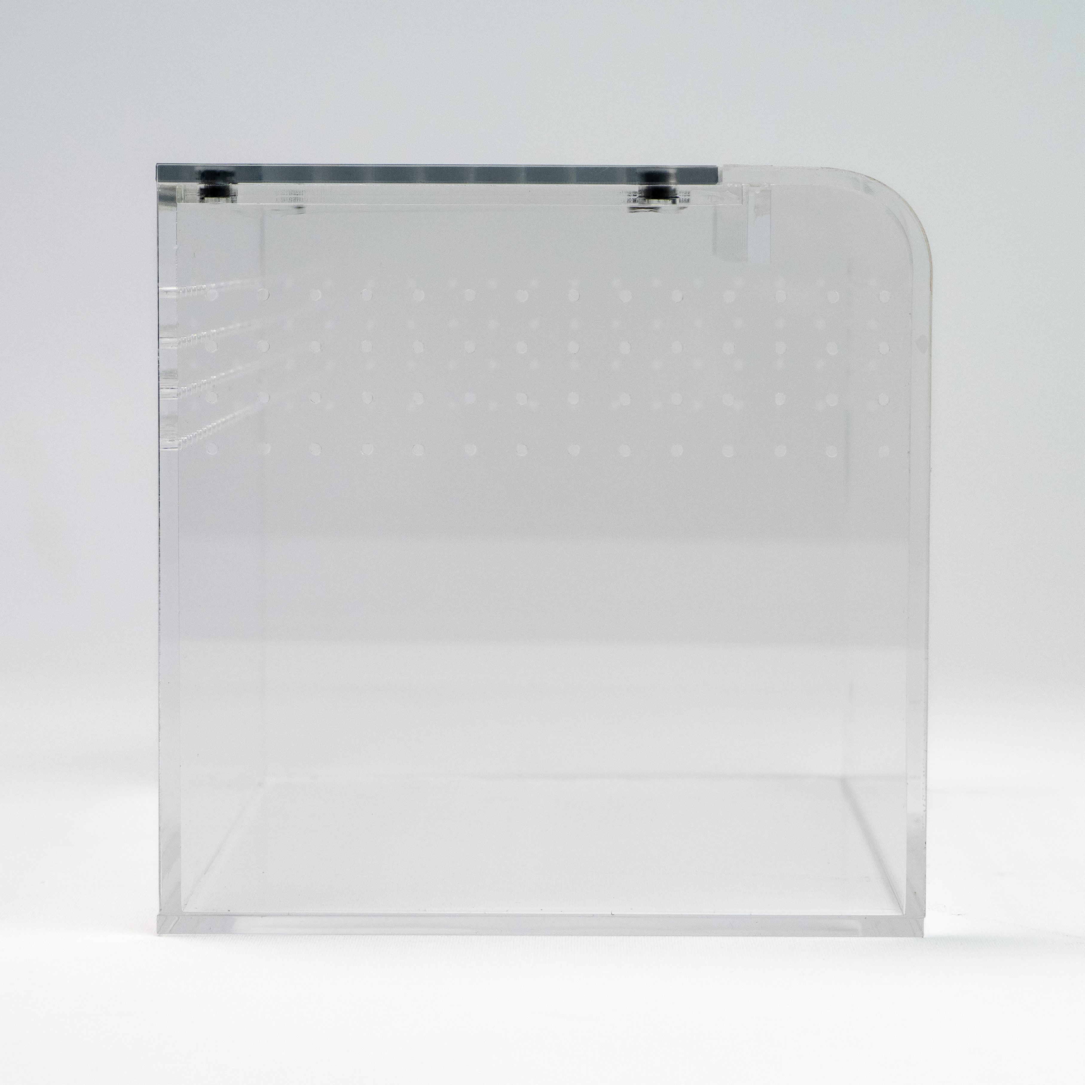 PRE ORDER- Terrestrial Curve – Small Enclosure (Est Ship 2 Weeks)