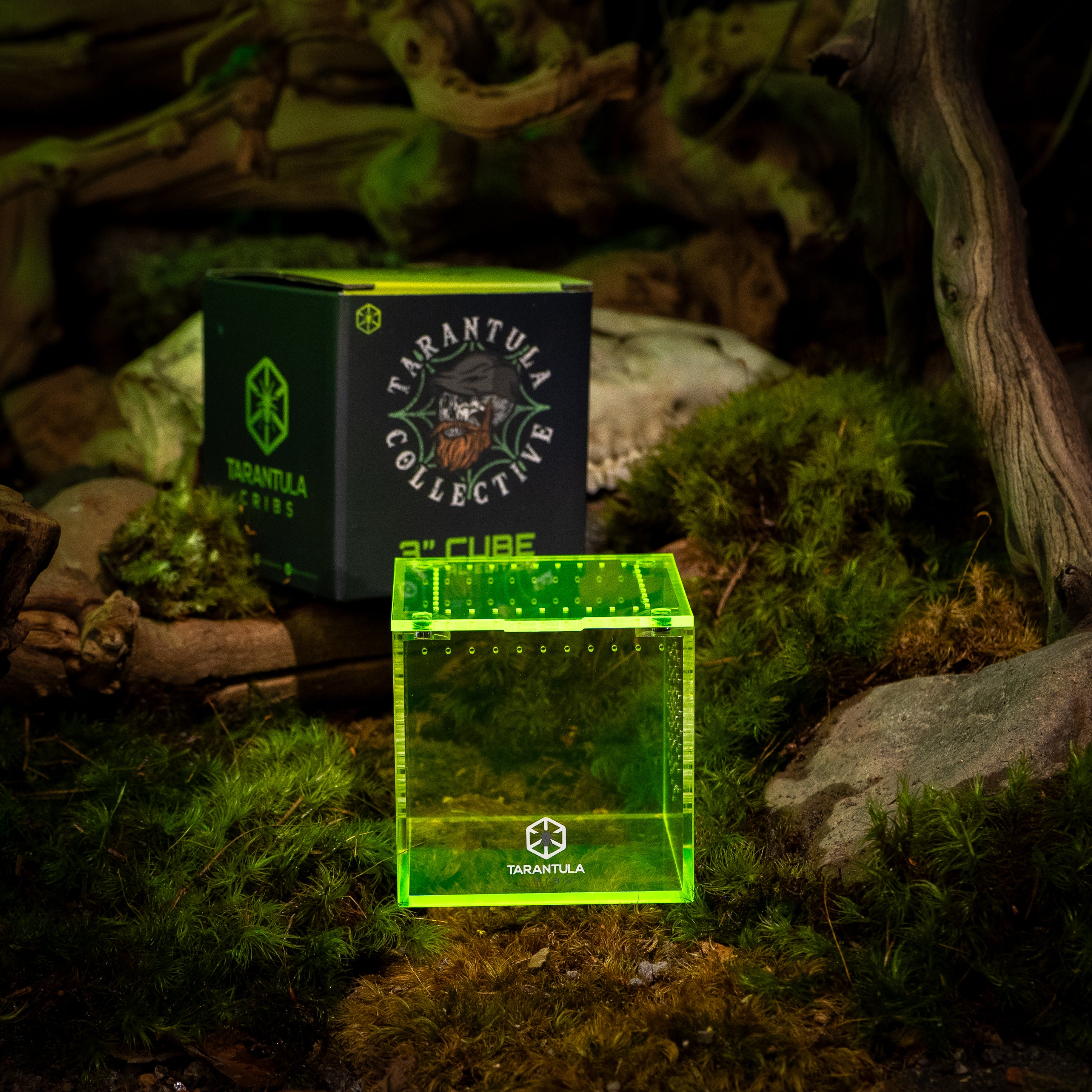Richard Stewart Signature Collab Enclosure — 3" Cube | Spider Web Vent Edition | Neon Glow Series