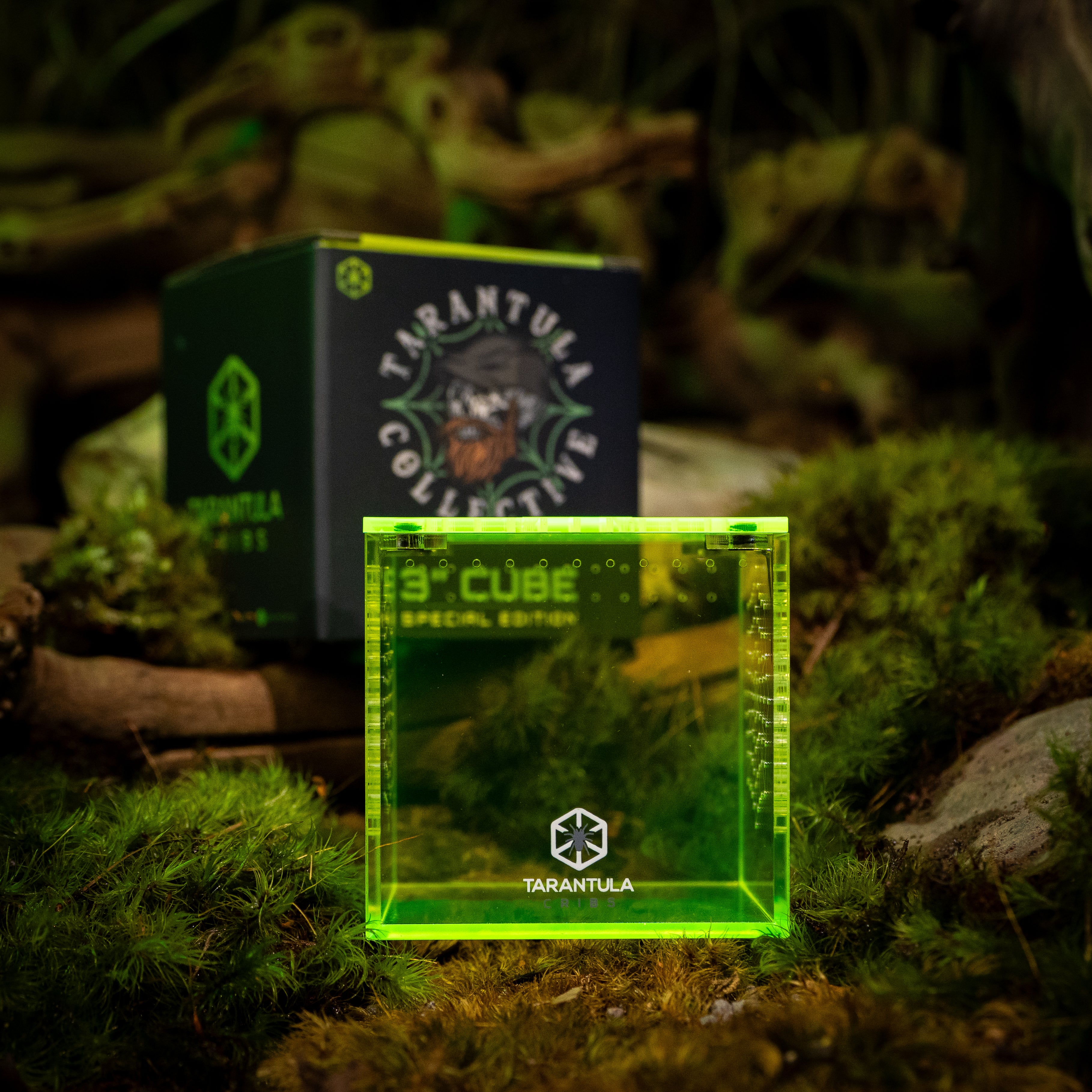 Richard Stewart Signature Collab Enclosure — 3" Cube | Spider Web Vent Edition | Neon Glow Series