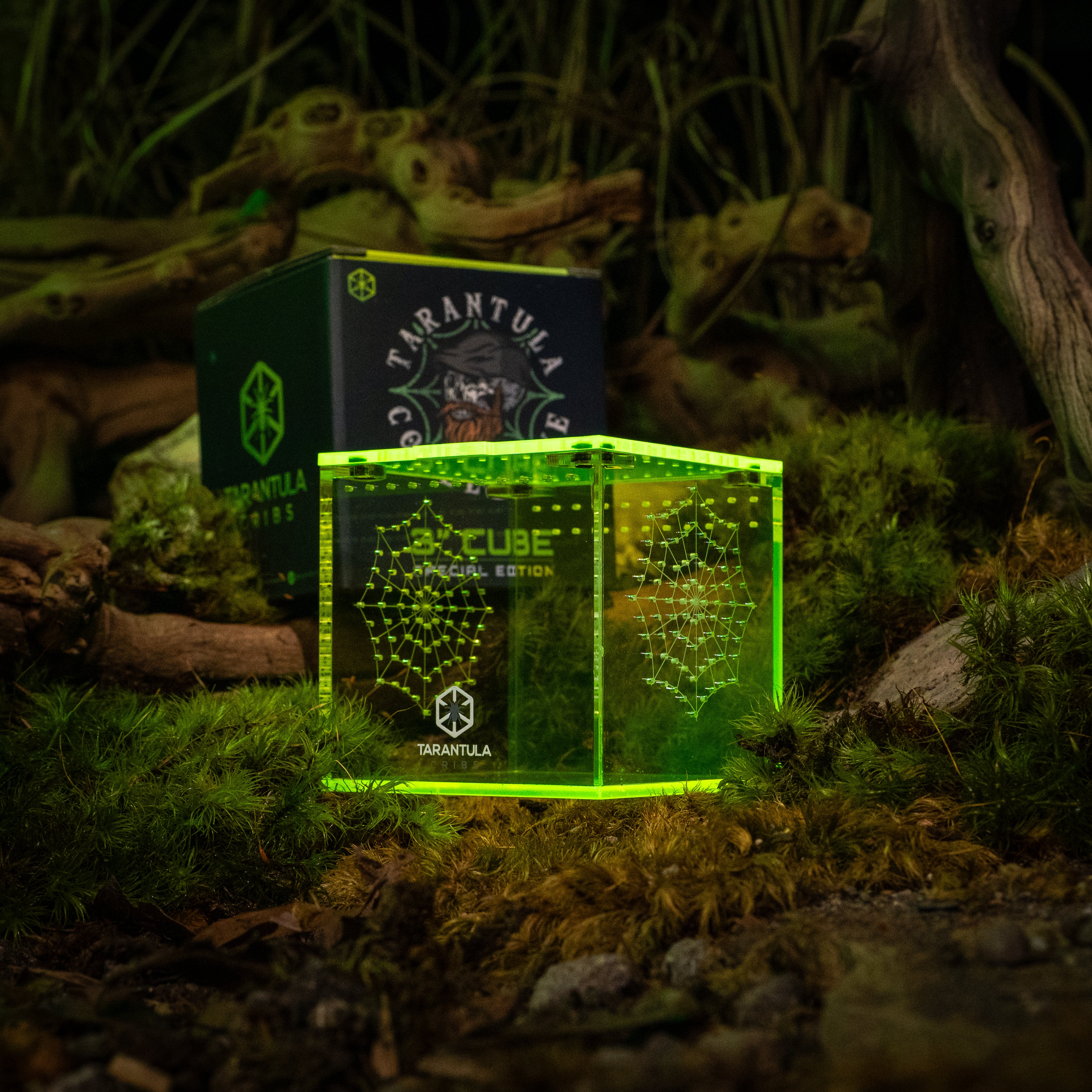 Richard Stewart Signature Collab Enclosure — 3" Cube | Spider Web Vent Edition | Neon Glow Series
