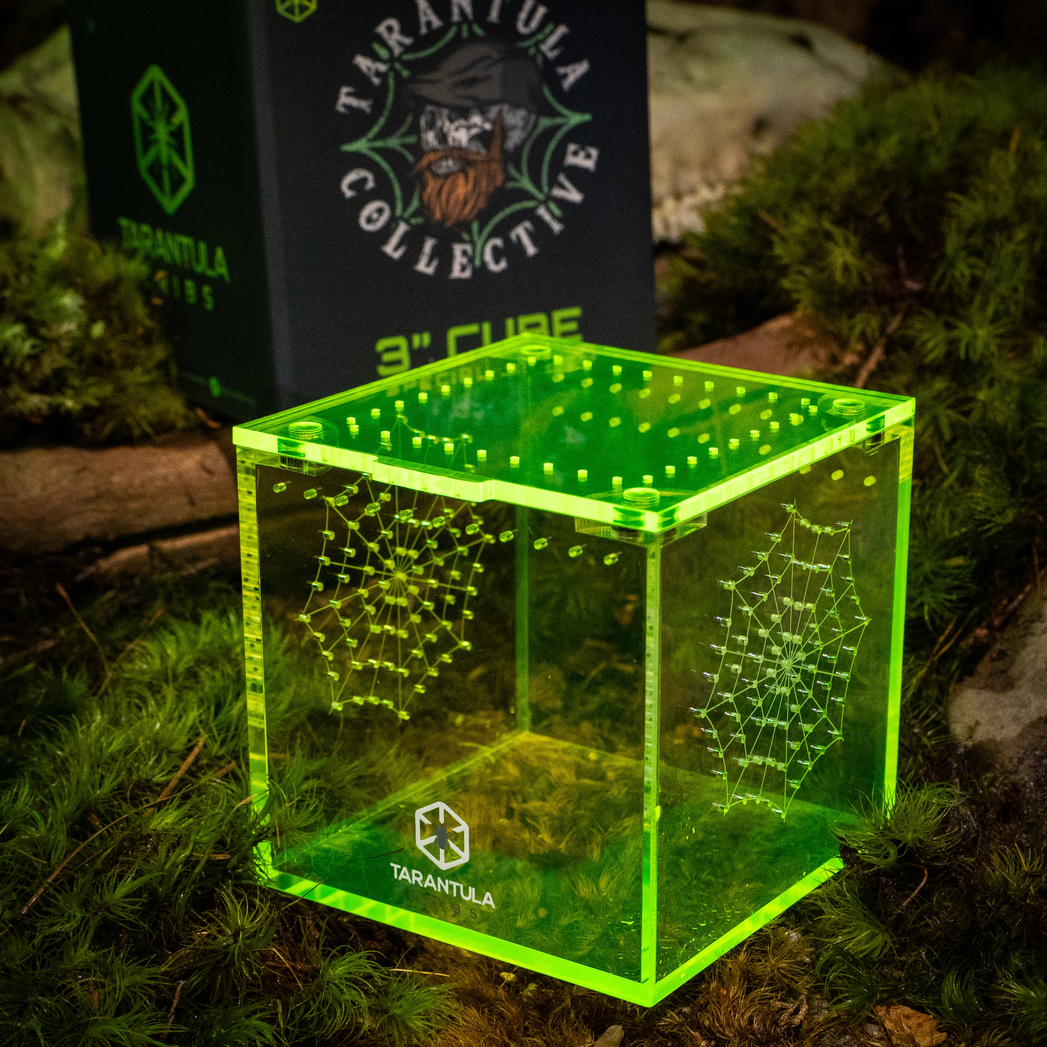 Richard Stewart Signature Collab Enclosure — 3" Cube | Spider Web Vent Edition | Neon Glow Series