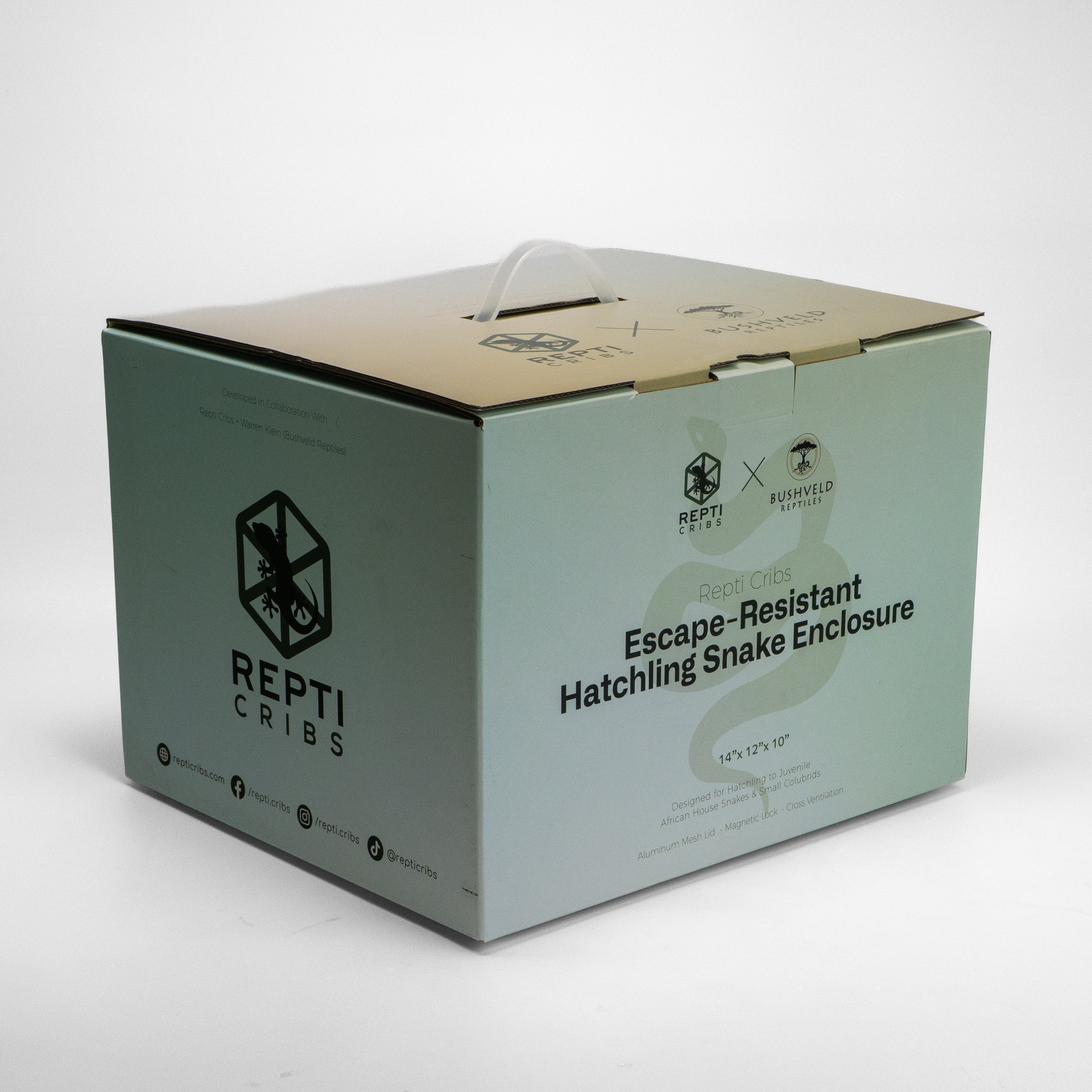 African House Snake Enclosure | 14x12x10 | Bushveld Reptiles Collab