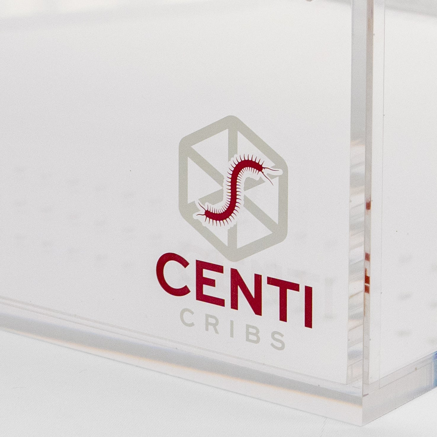 centiCRIBS XXL | Johnny Venom Signature Centipede Enclosure — 20" × 13.5" × 12" | Limited Run of 20