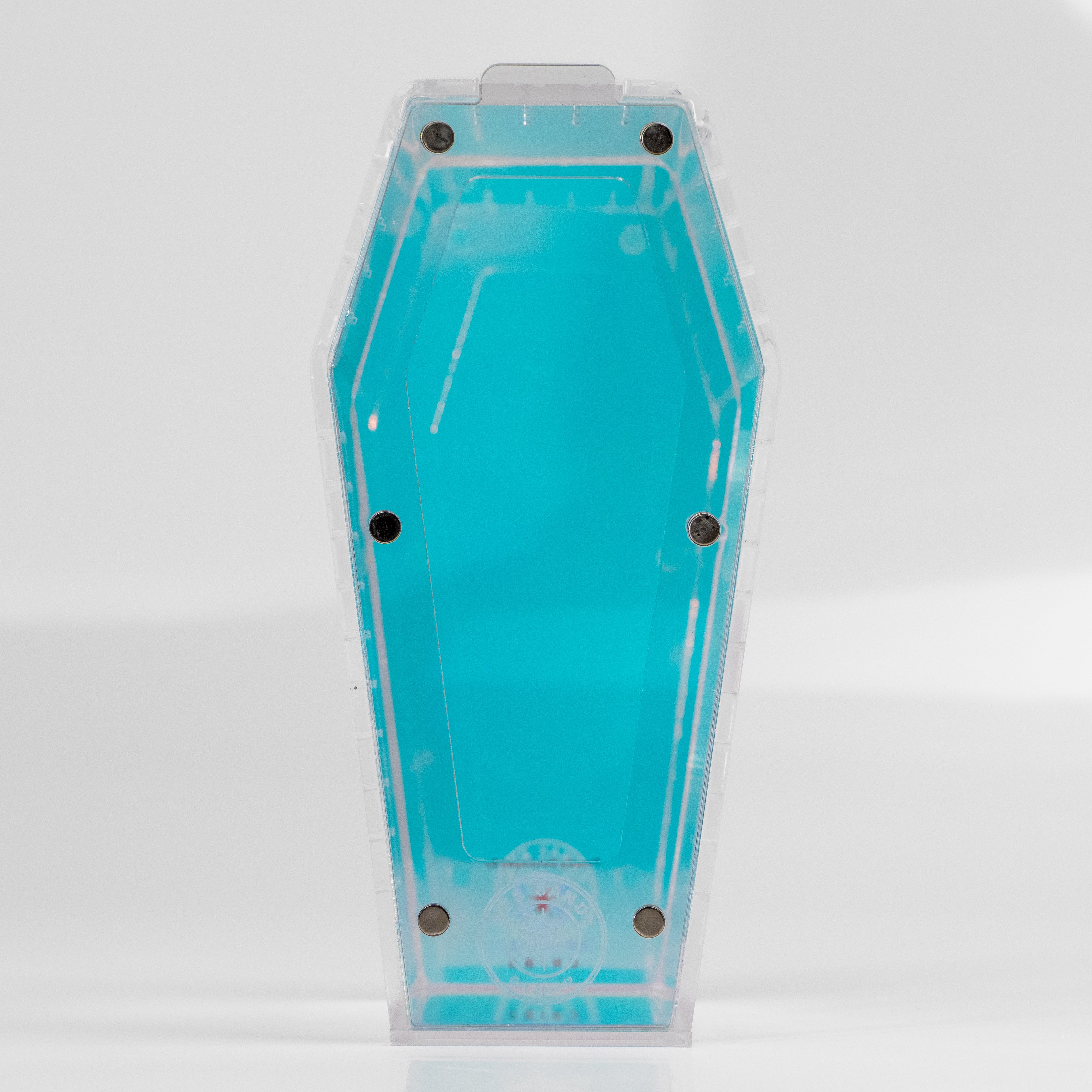 Iridescent Coffin Crib- Medium  by "Web Candy"