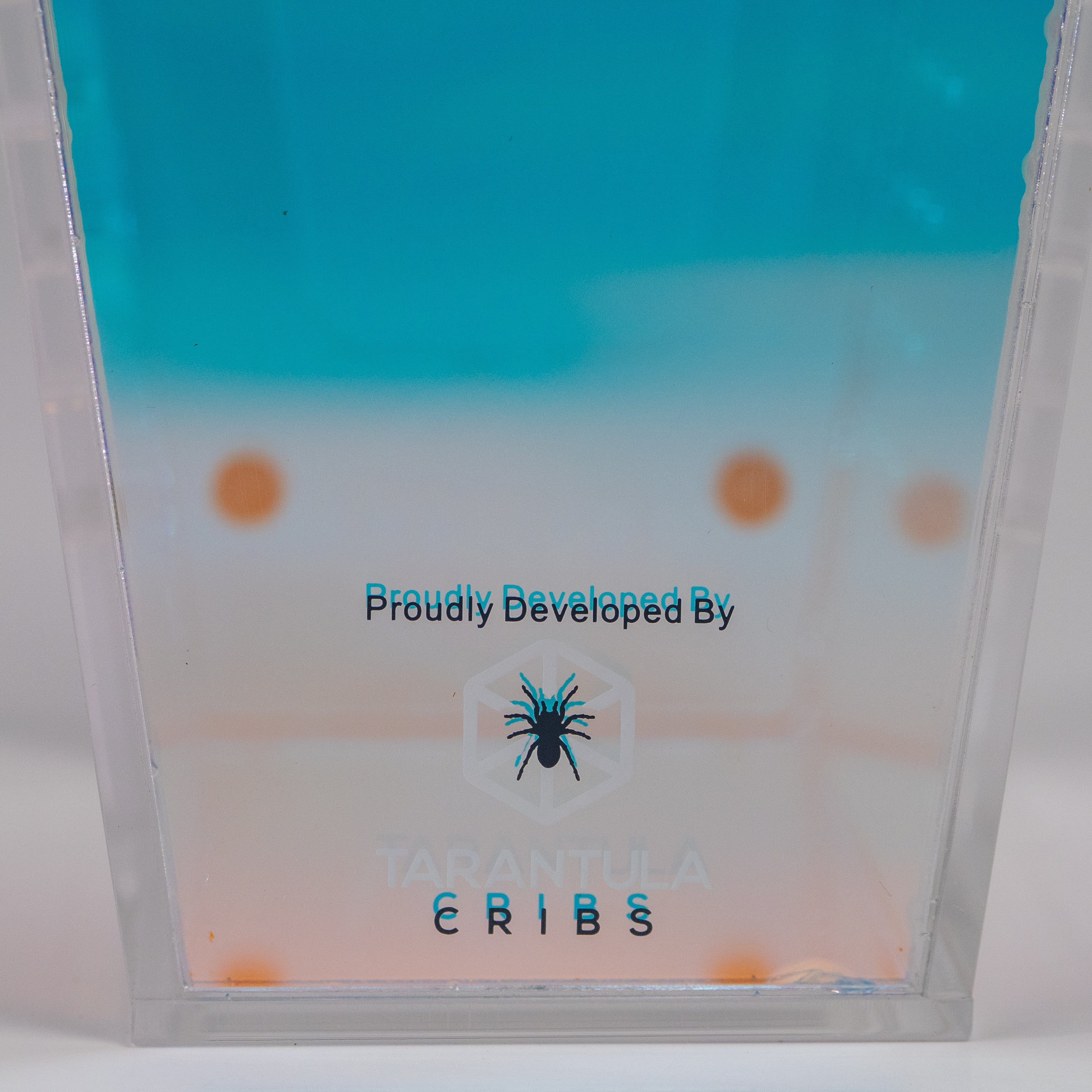 "Web Candy" Iridescent Coffin Crib Mini