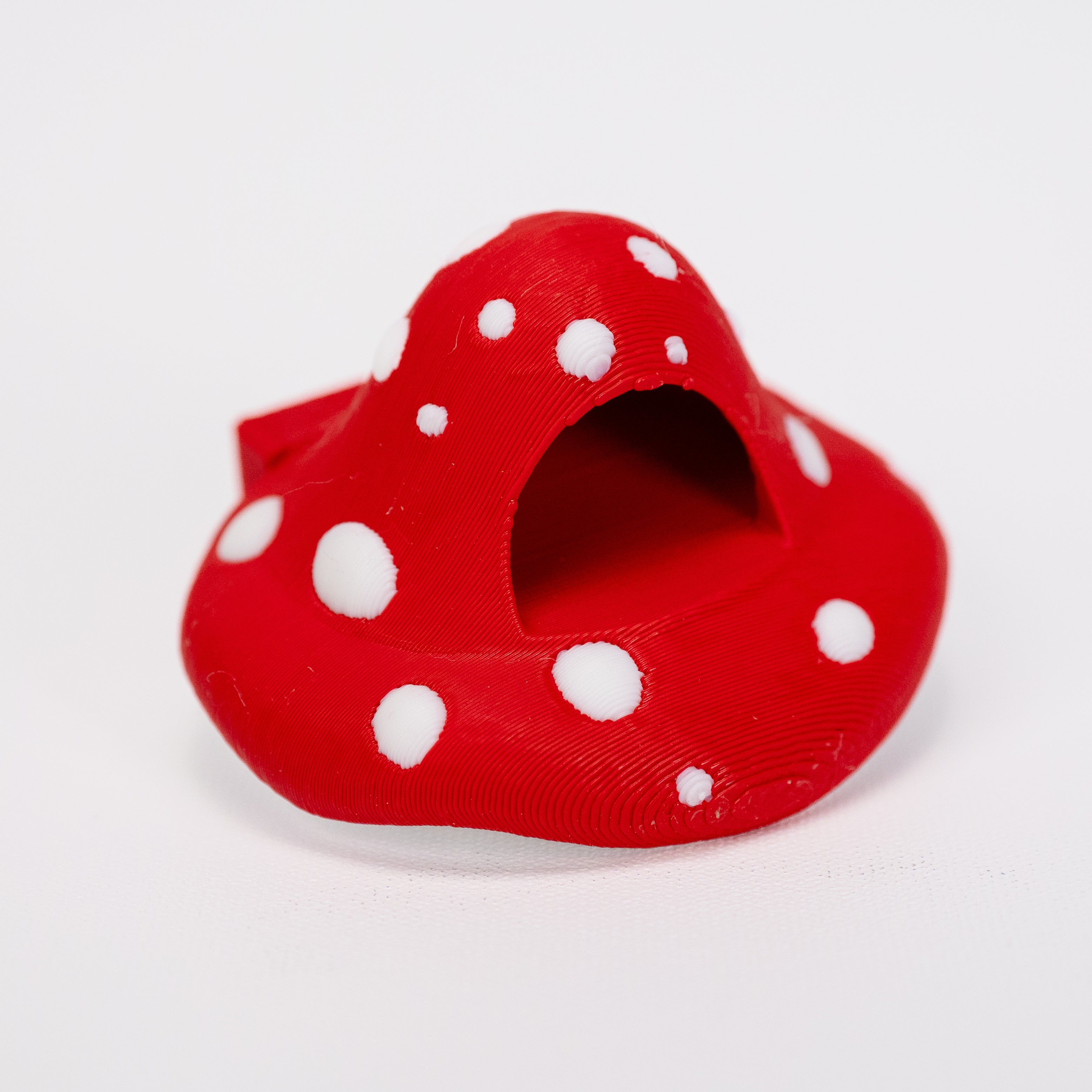 Mushroom Jumping Spider Hide