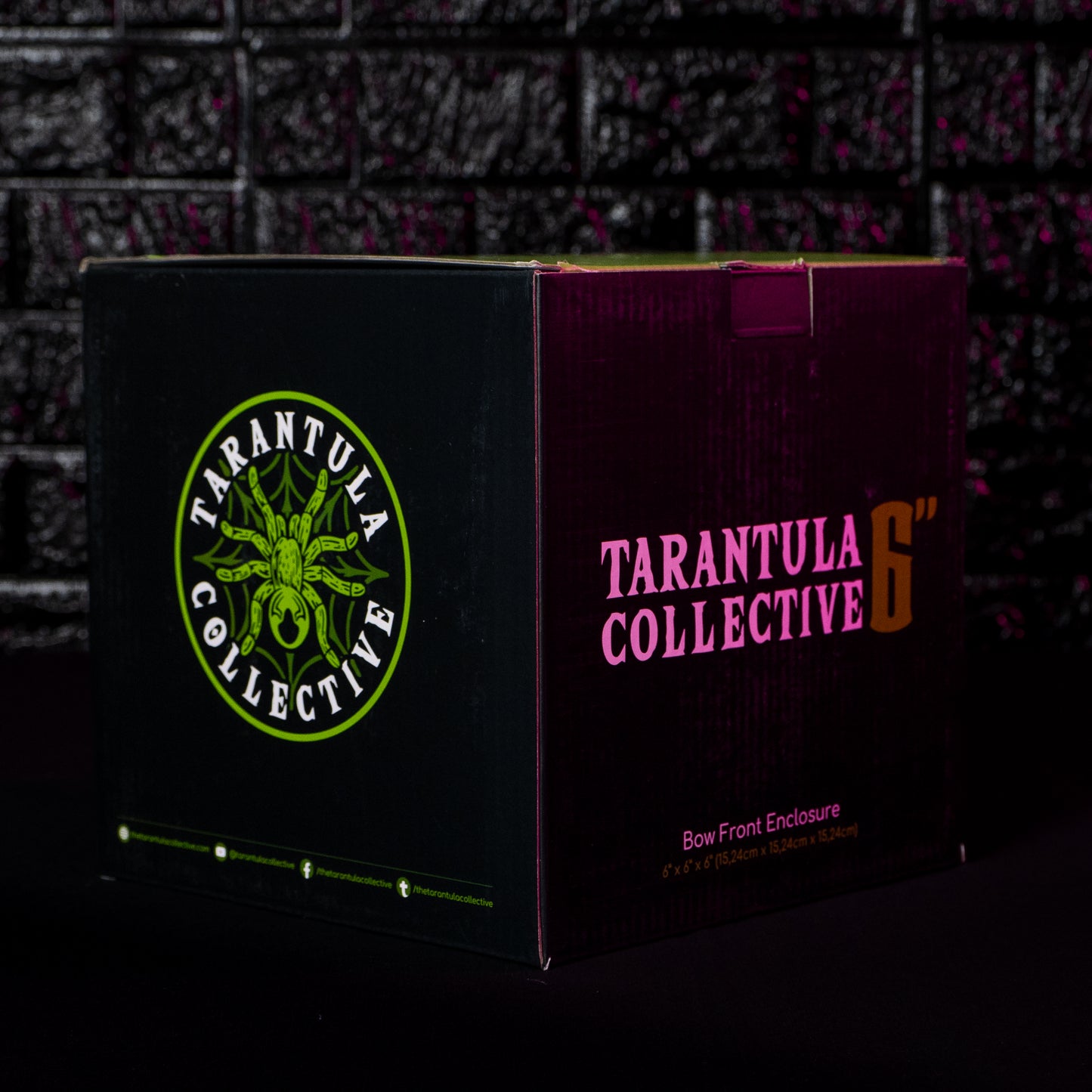 PRE ORDER- Bow Front by The Tarantula Collective (6" Glitter Green)