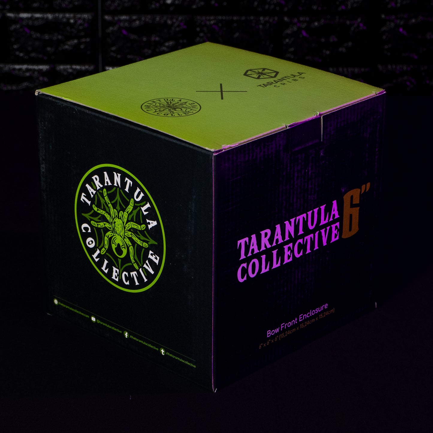 PRE ORDER- Bow Front by The Tarantula Collective (6" Glitter Green)