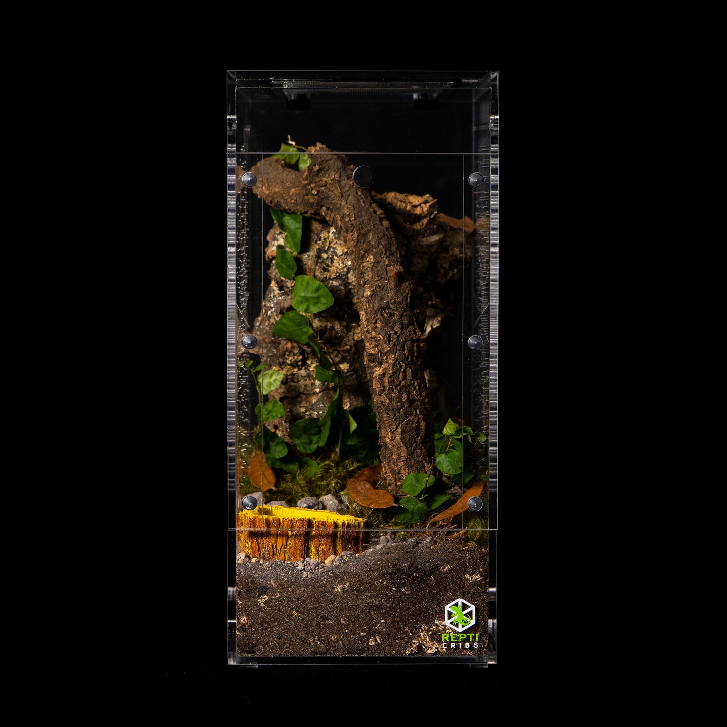 Repti Cribs- Exhibit Line- Gecko