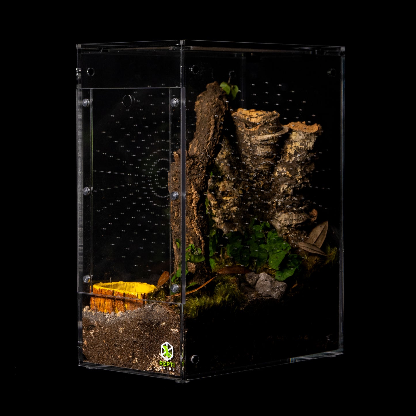 Repti Cribs- Exhibit Line- Gecko