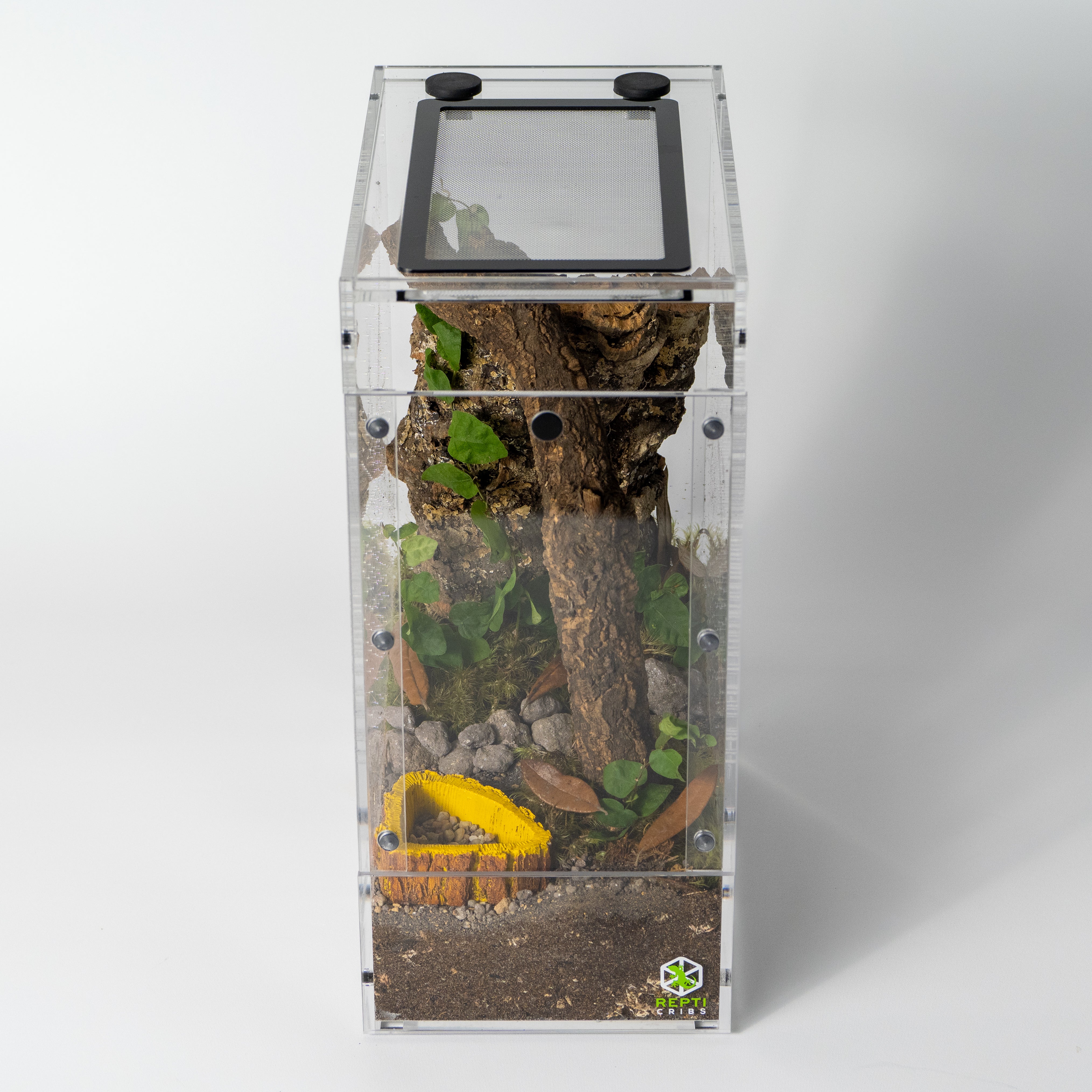 Repti Cribs- Exhibit Line- Gecko