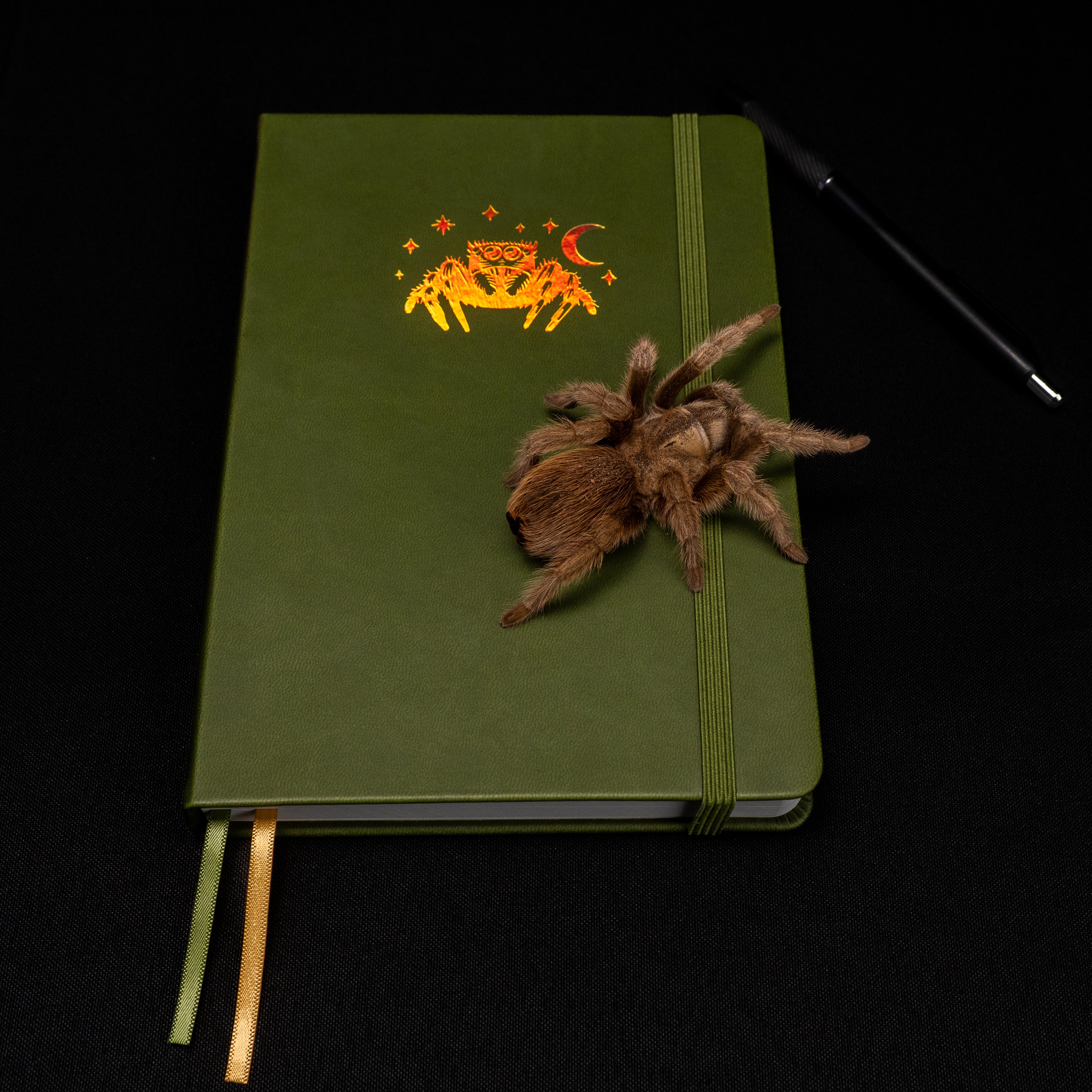 Webs of Creativity Journal