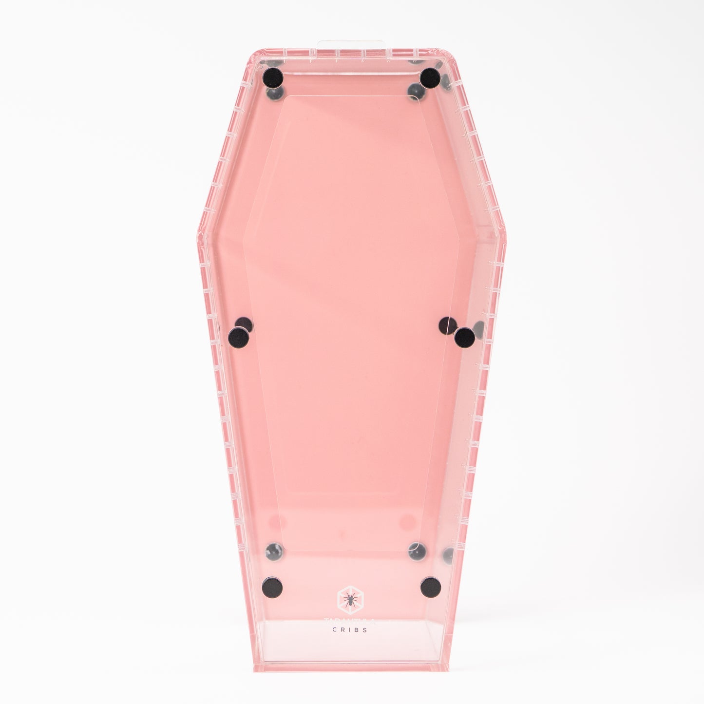 PRE ORDER- Large Coffin Crib - Clear
