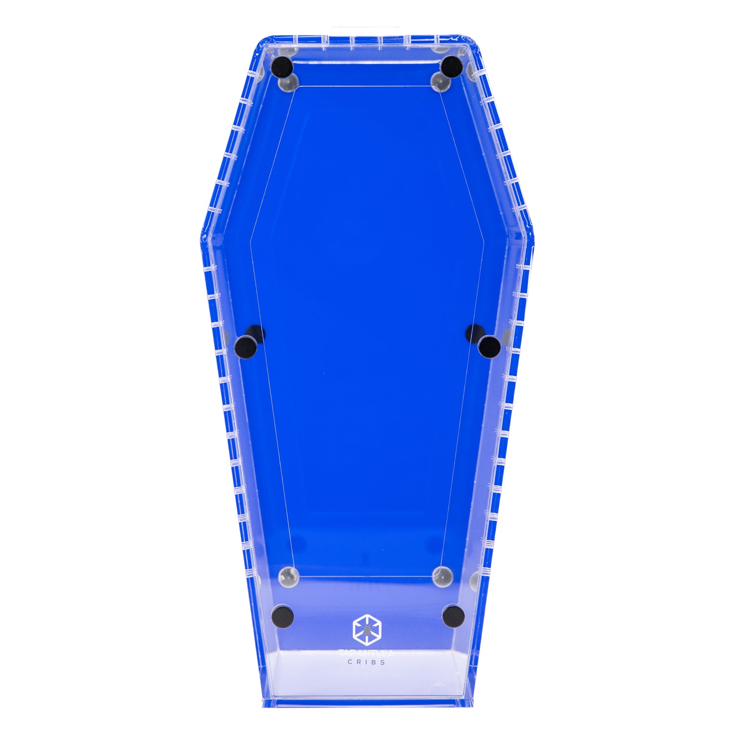 PRE ORDER- Large Coffin Crib - Clear