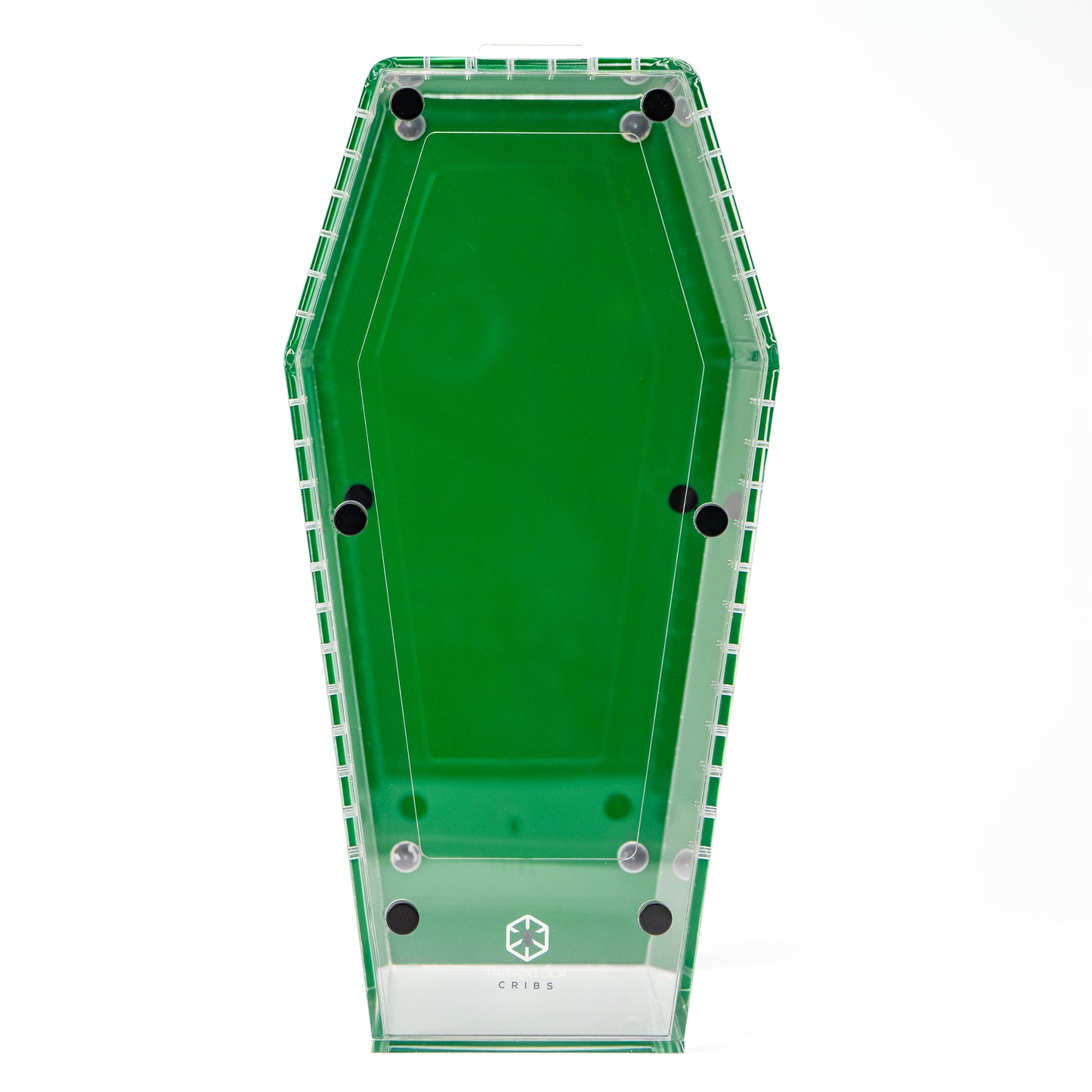 PRE ORDER- Large Coffin Crib - Clear