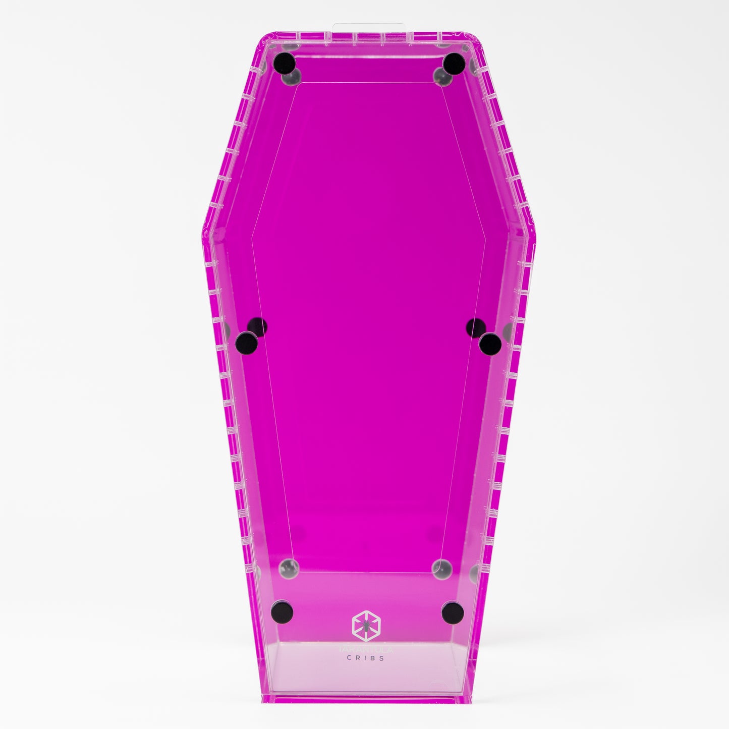 PRE ORDER- Large Coffin Crib - Clear