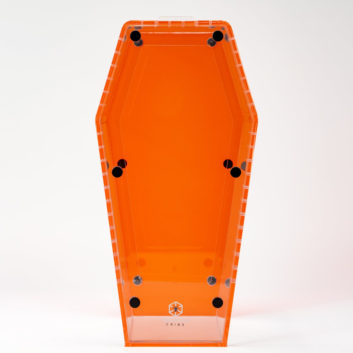 PRE ORDER- Large Coffin Crib - Clear