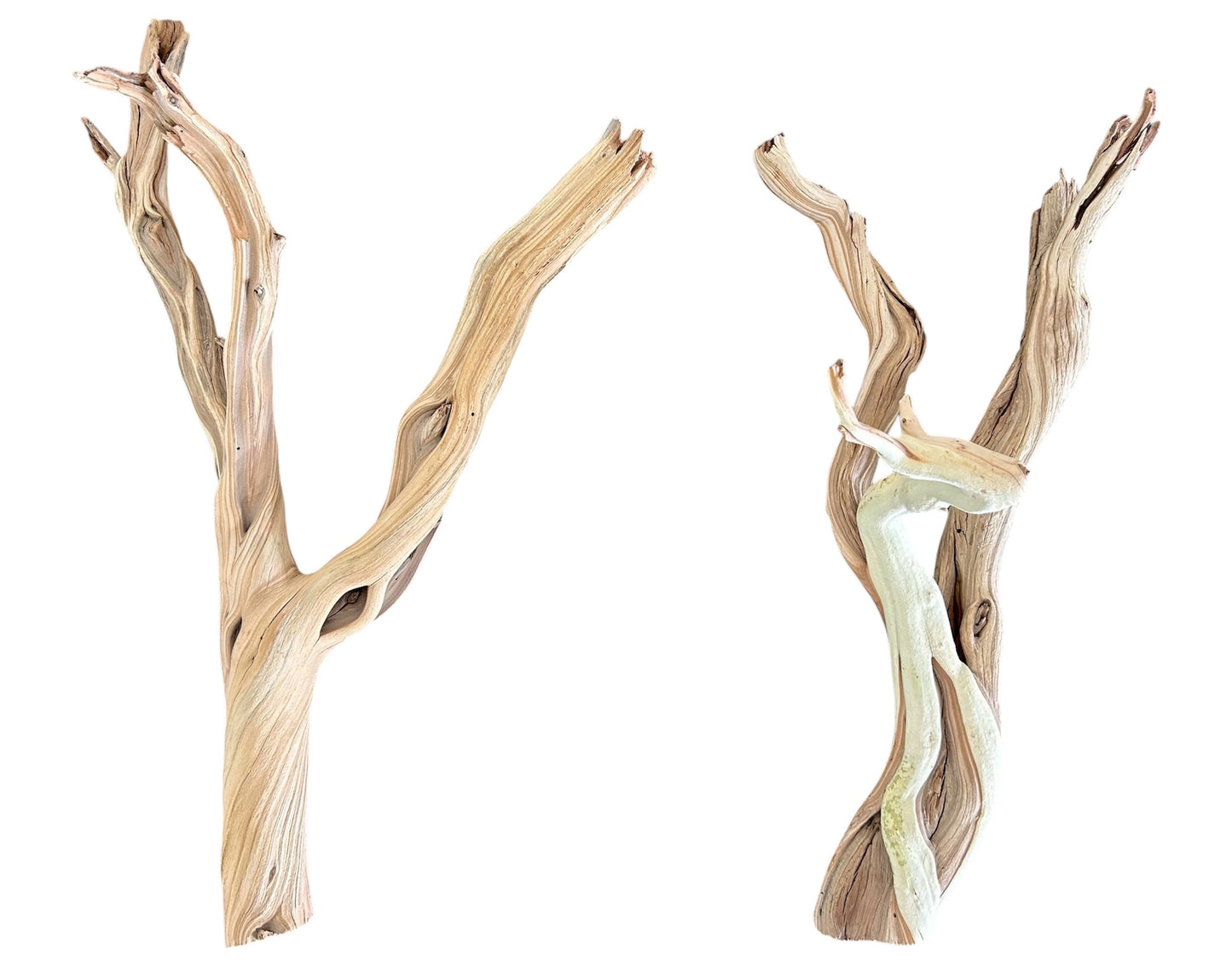 Ghostwood