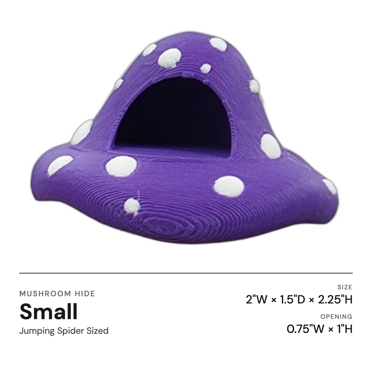 Mushroom Ledge For Jumping Spiders